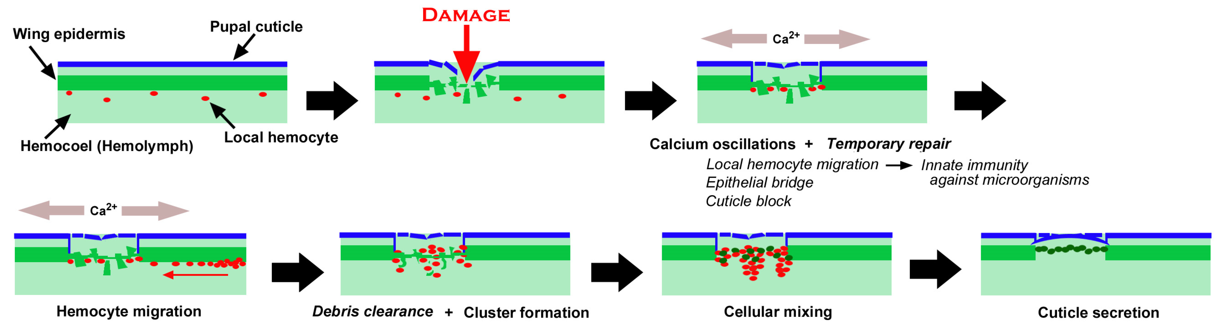 Insects 16 00124 g020