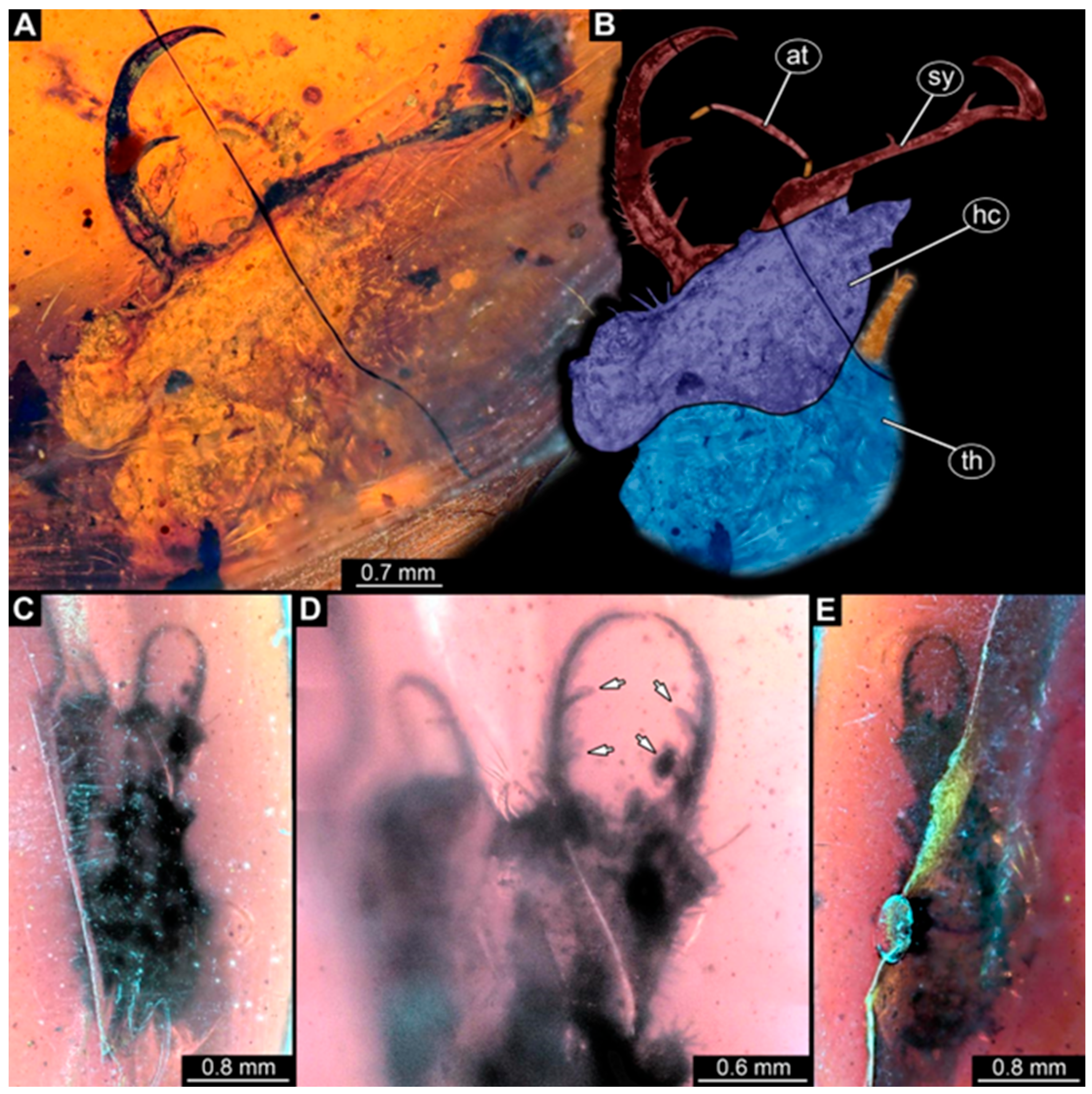 Insects 16 00125 g001