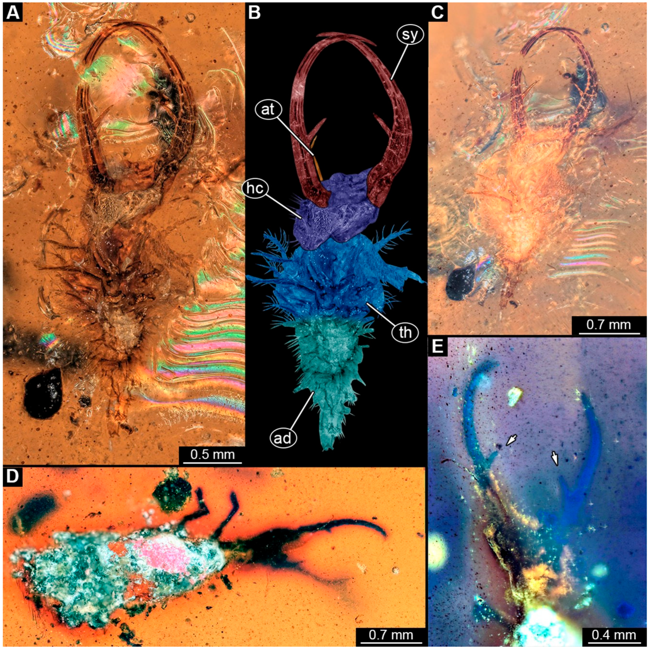 Insects 16 00125 g002