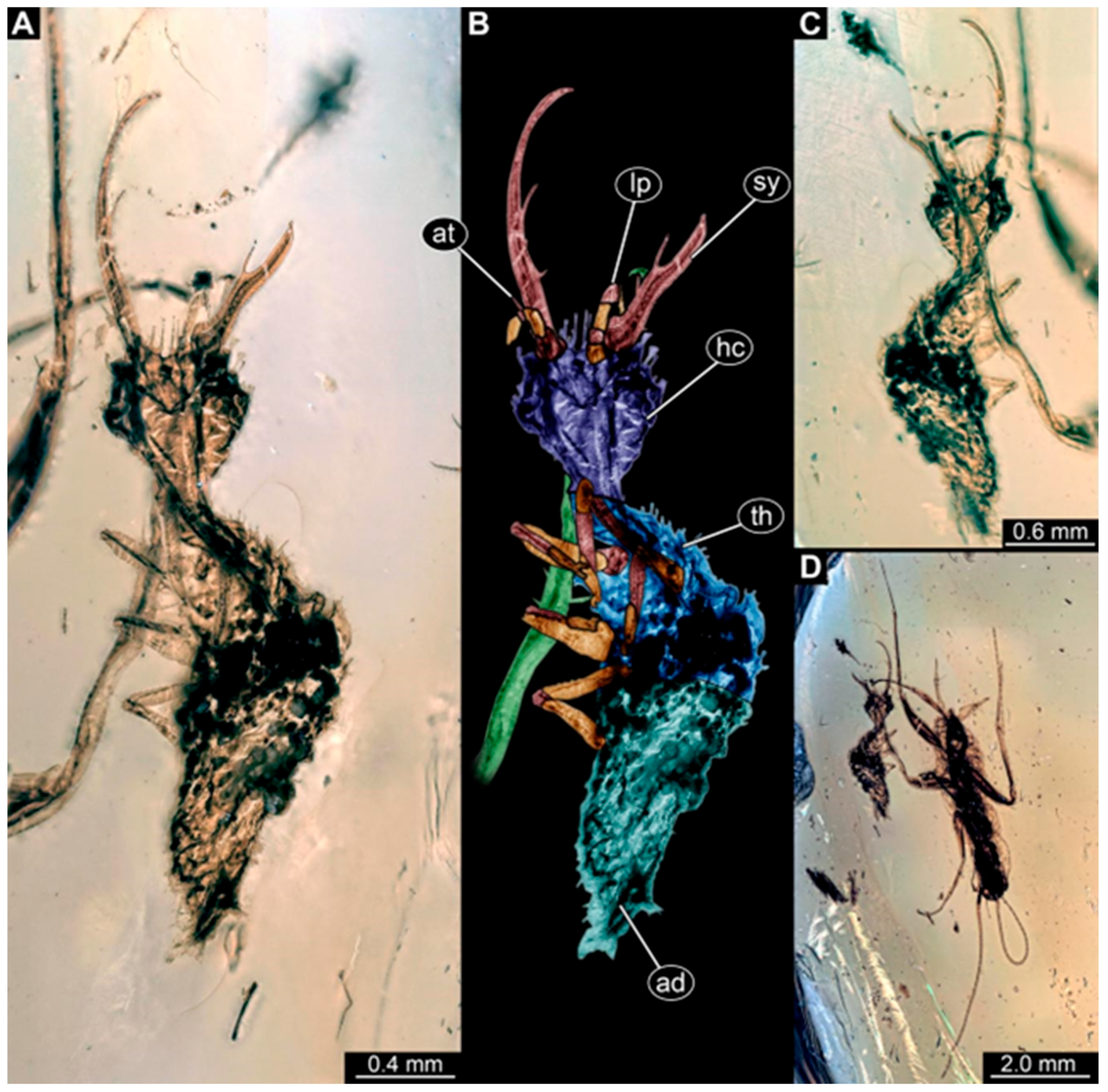 Insects 16 00125 g003