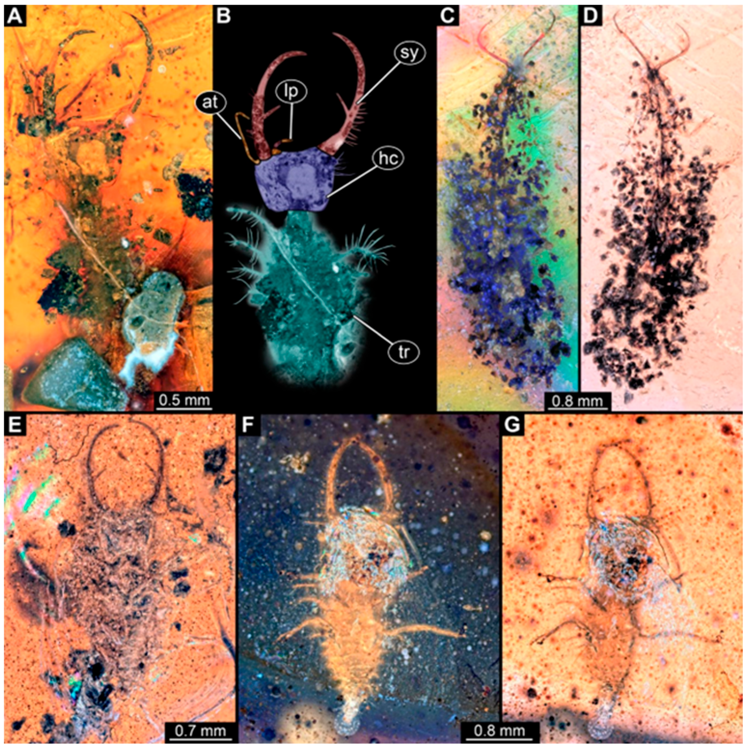 Insects 16 00125 g004