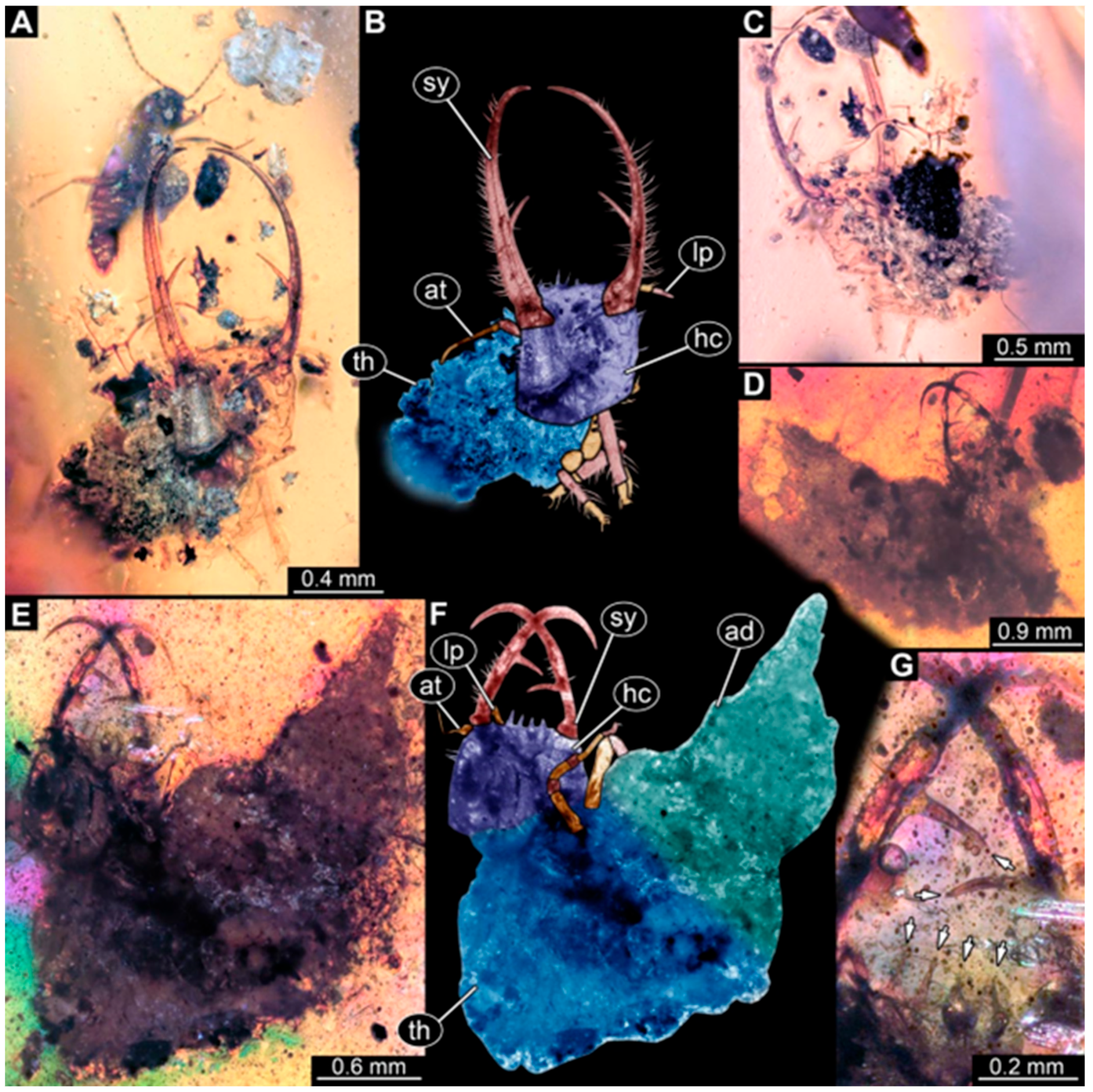 Insects 16 00125 g005