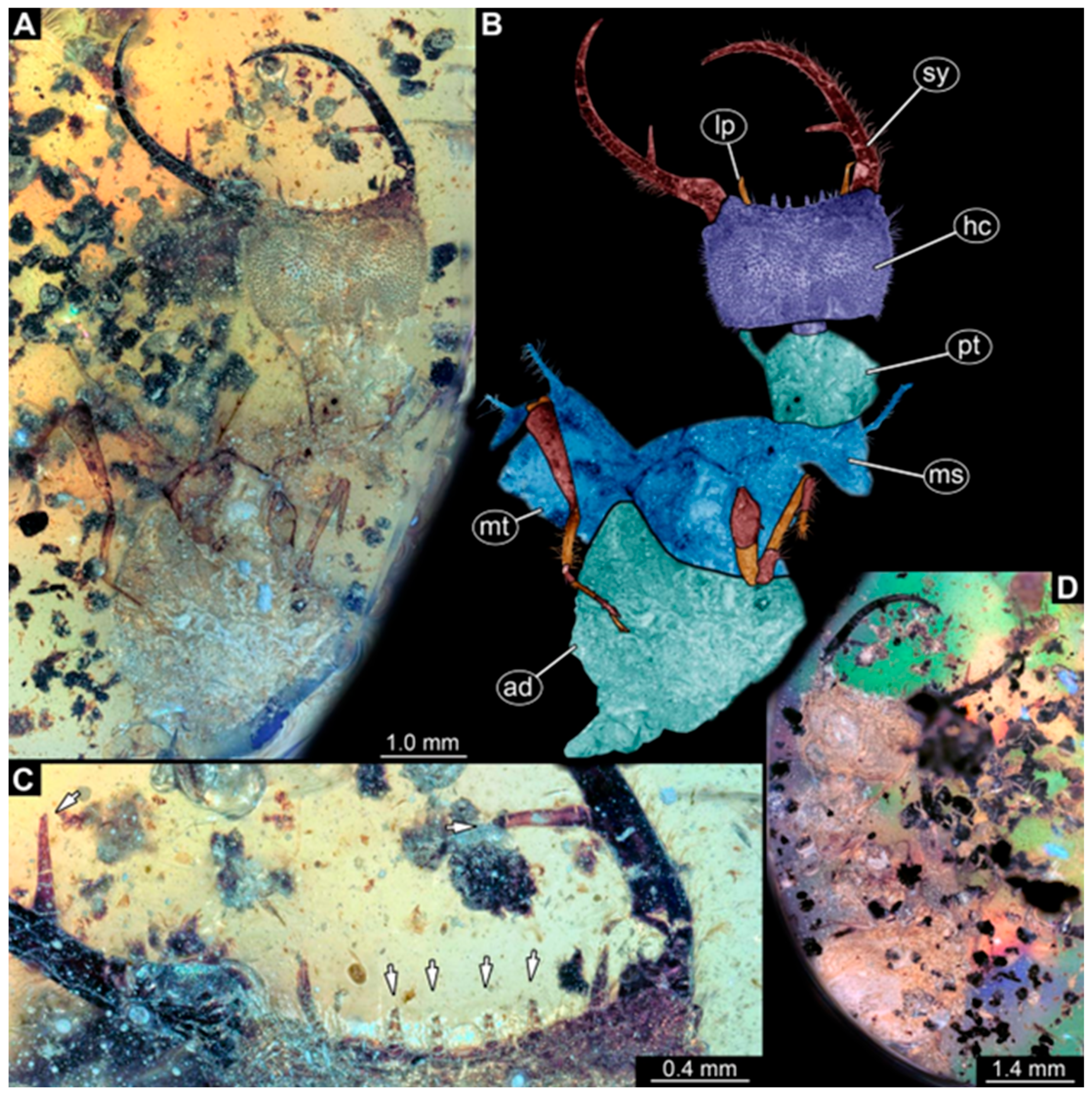 Insects 16 00125 g006