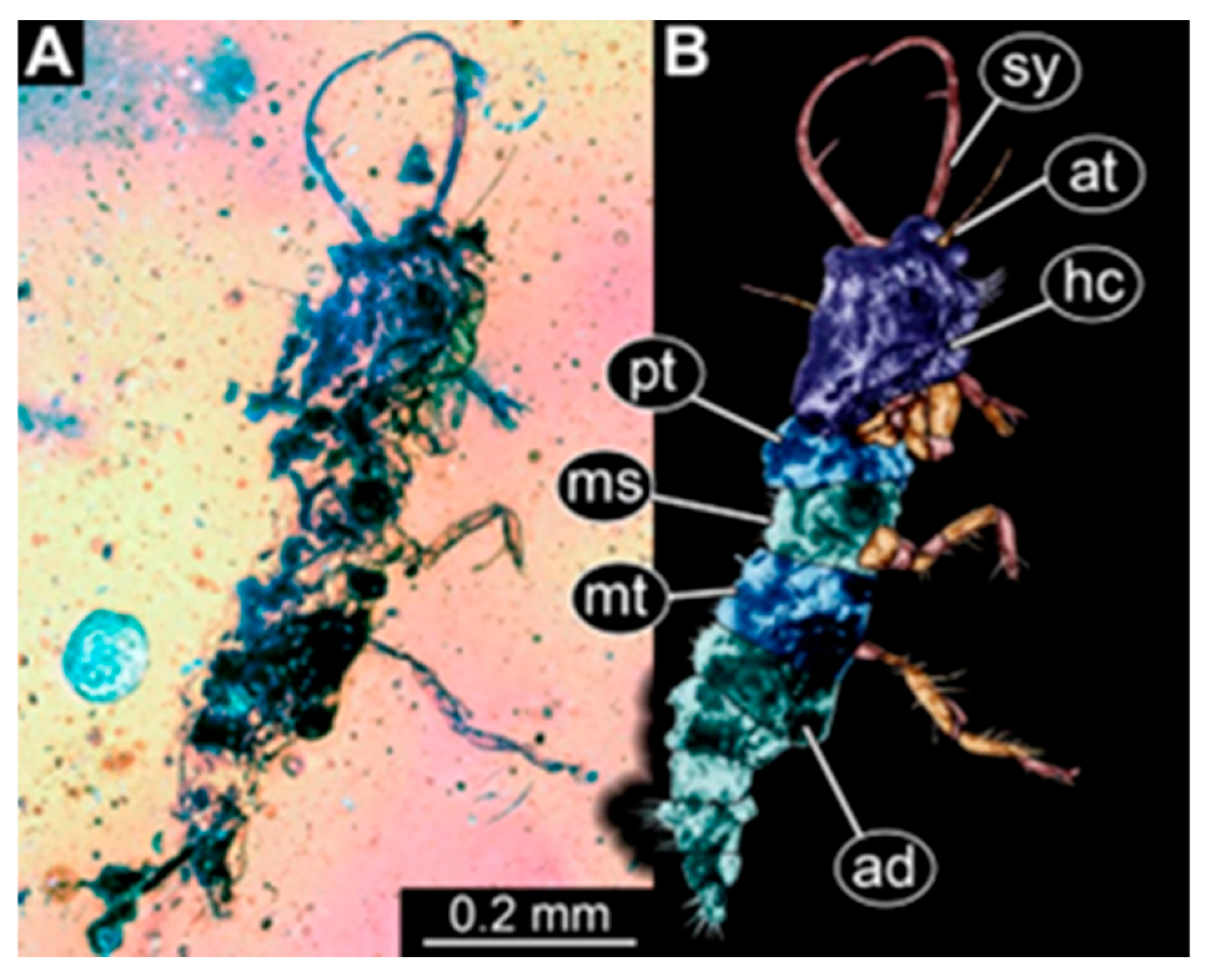 Insects 16 00125 g007