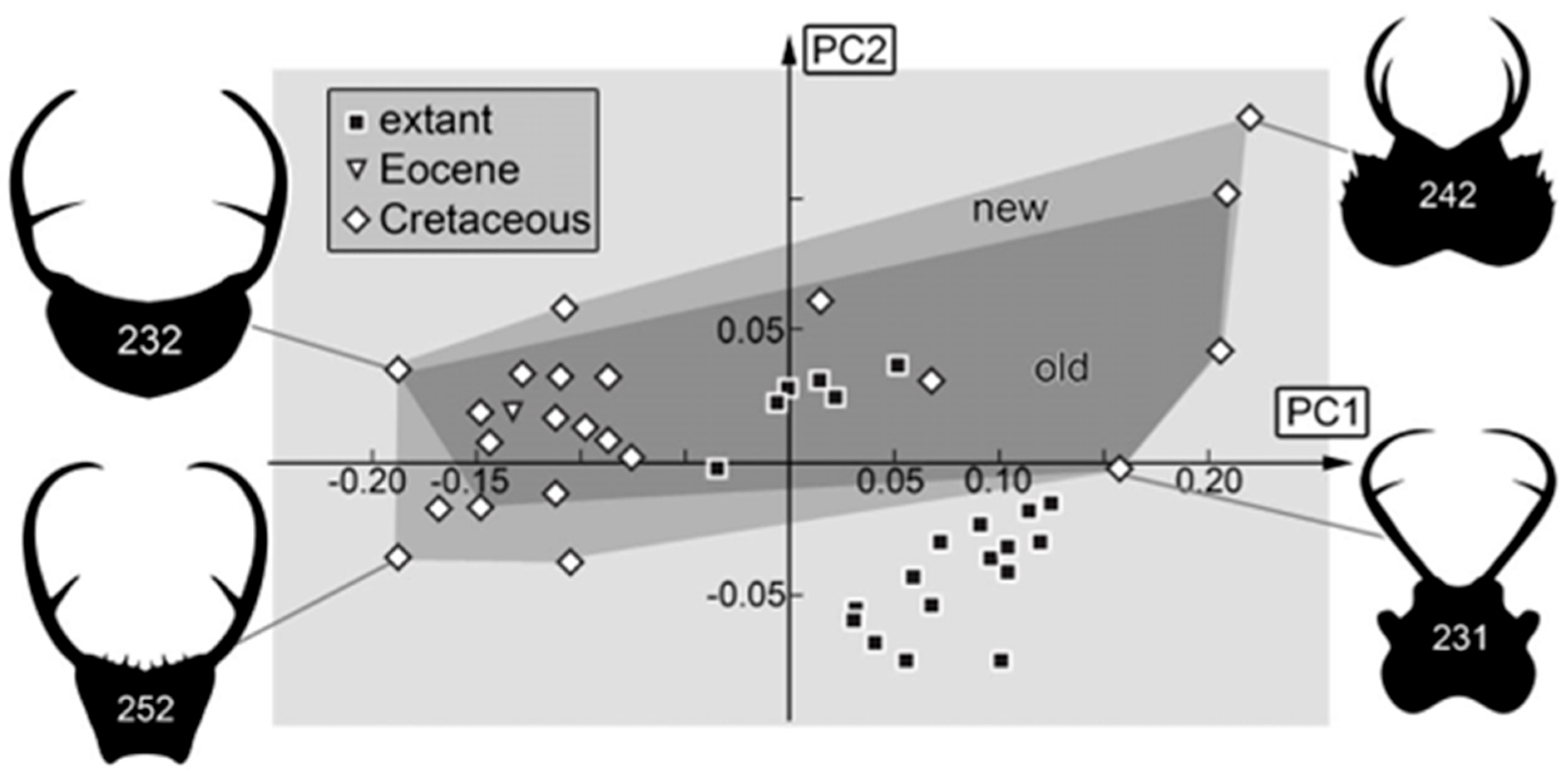 Insects 16 00125 g013