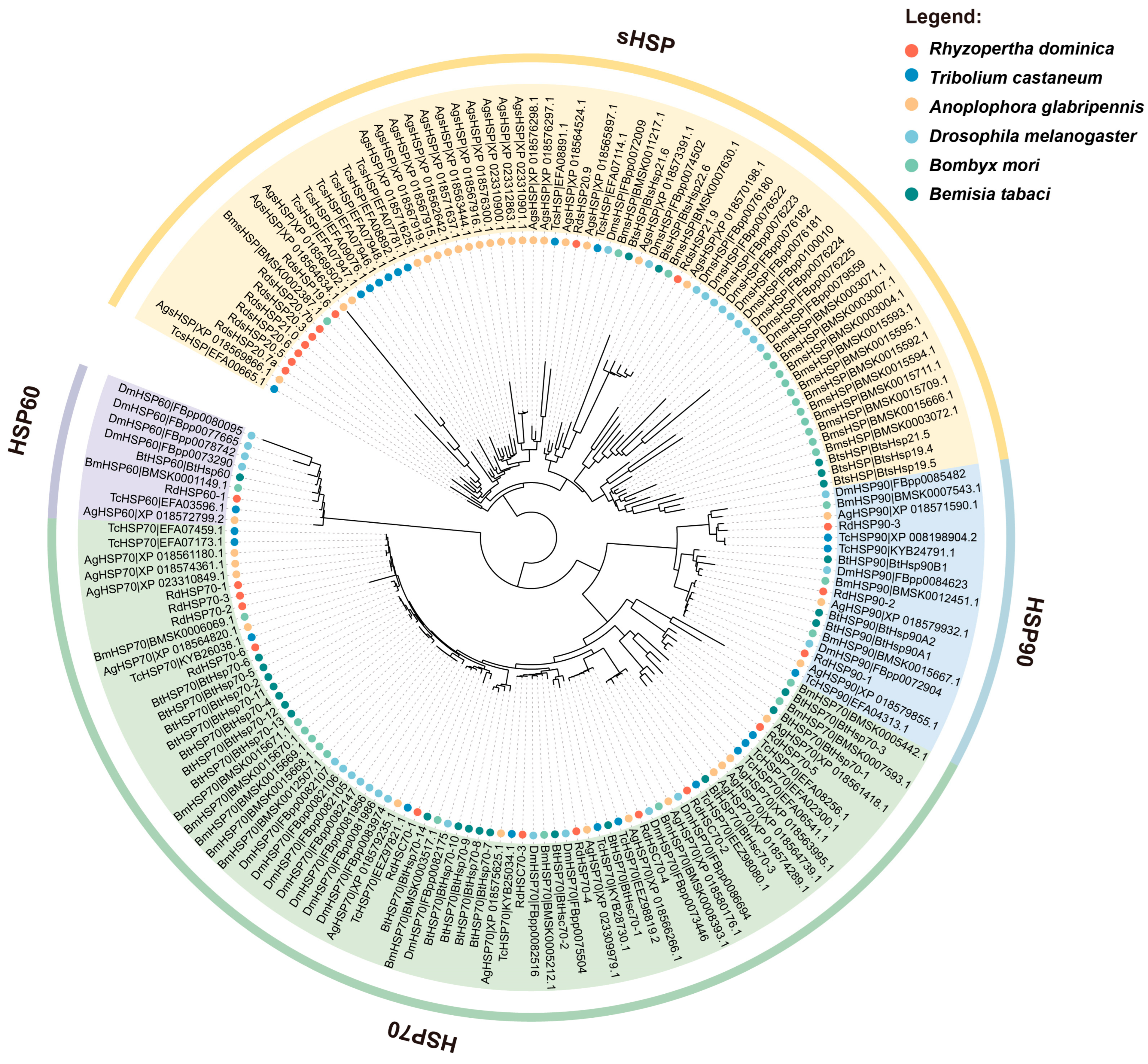 Insects 16 00127 g001