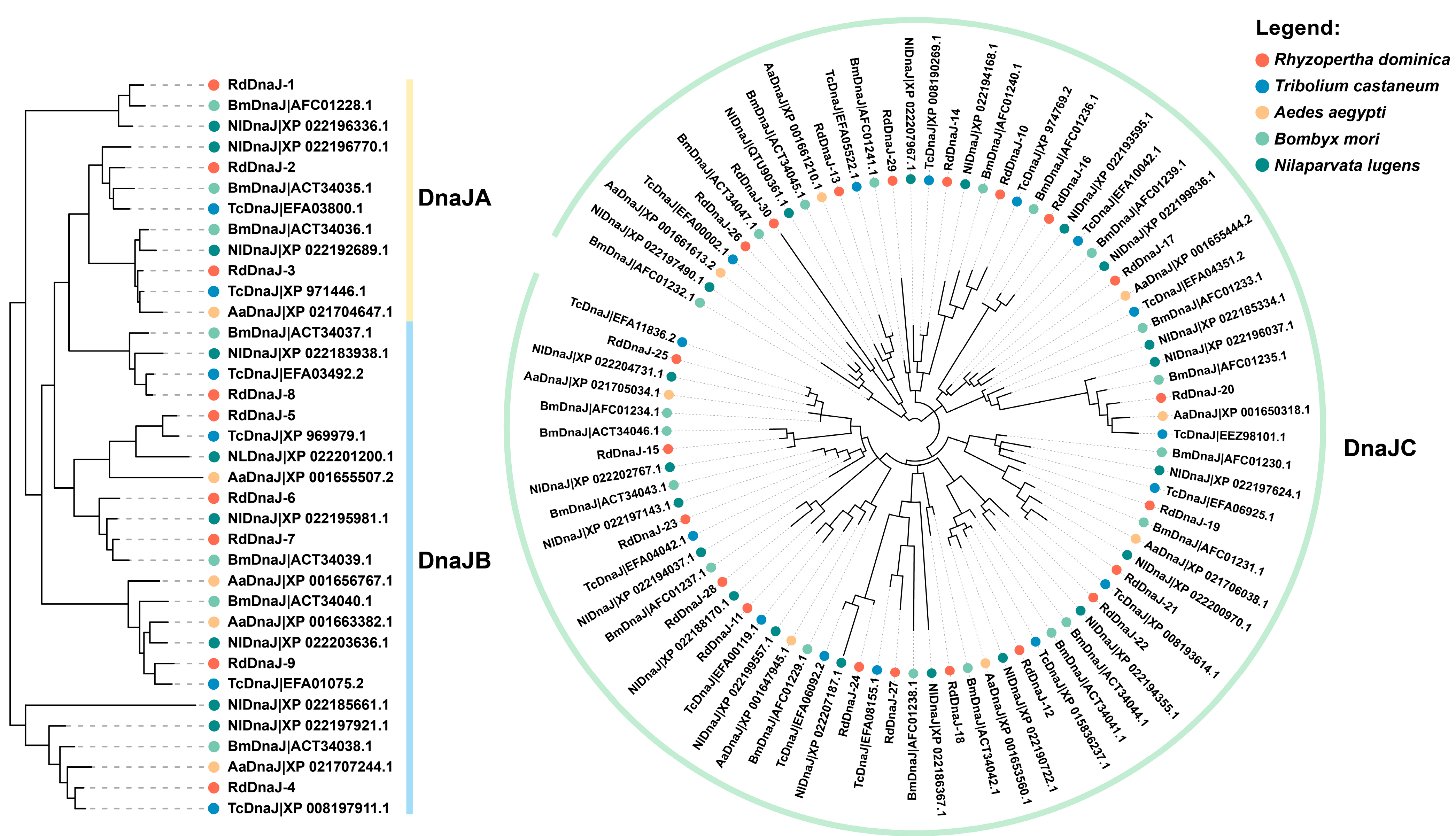 Insects 16 00127 g002