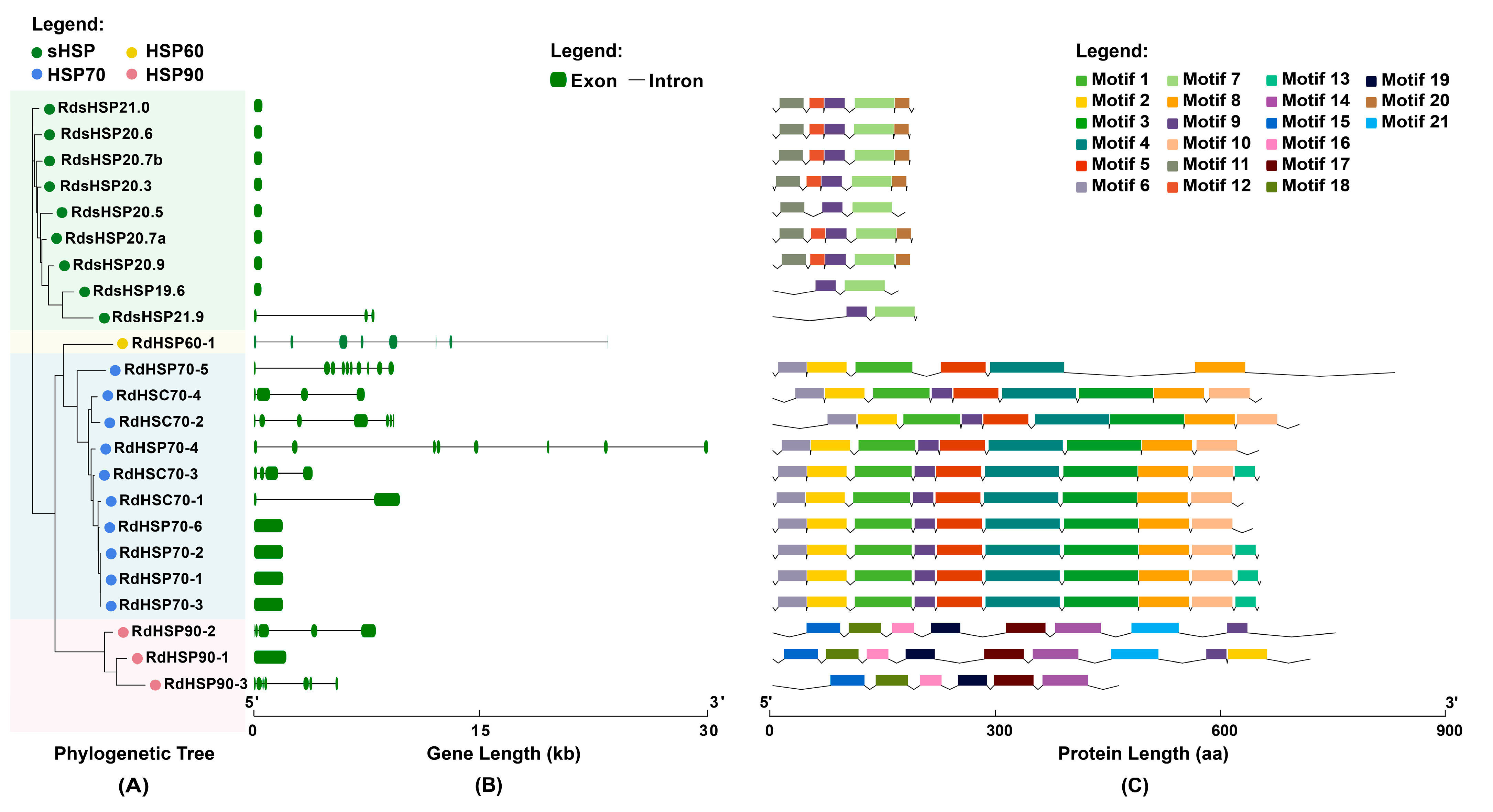 Insects 16 00127 g003
