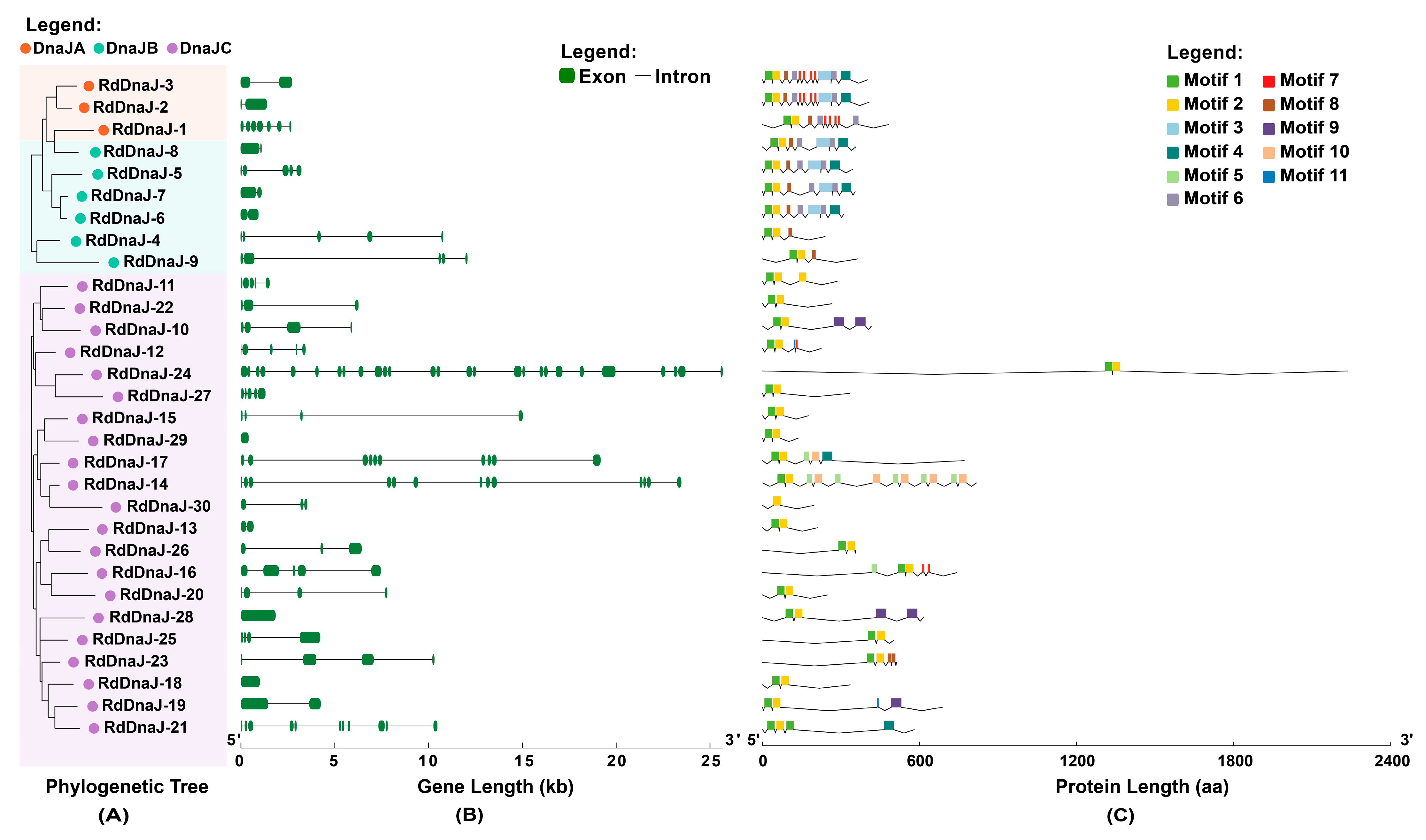 Insects 16 00127 g004
