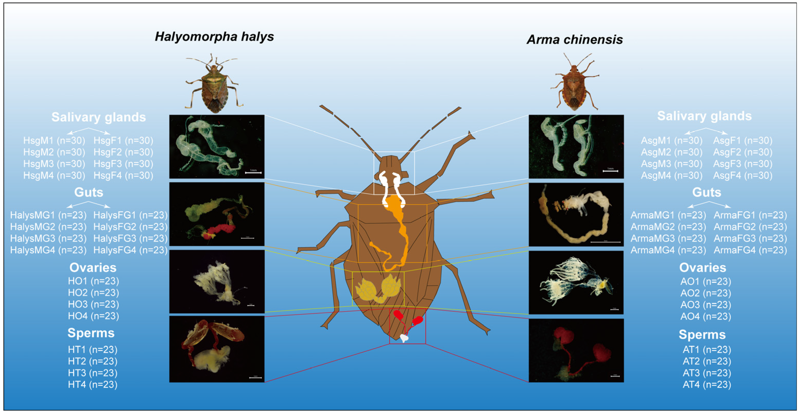 Insects 16 00146 g001