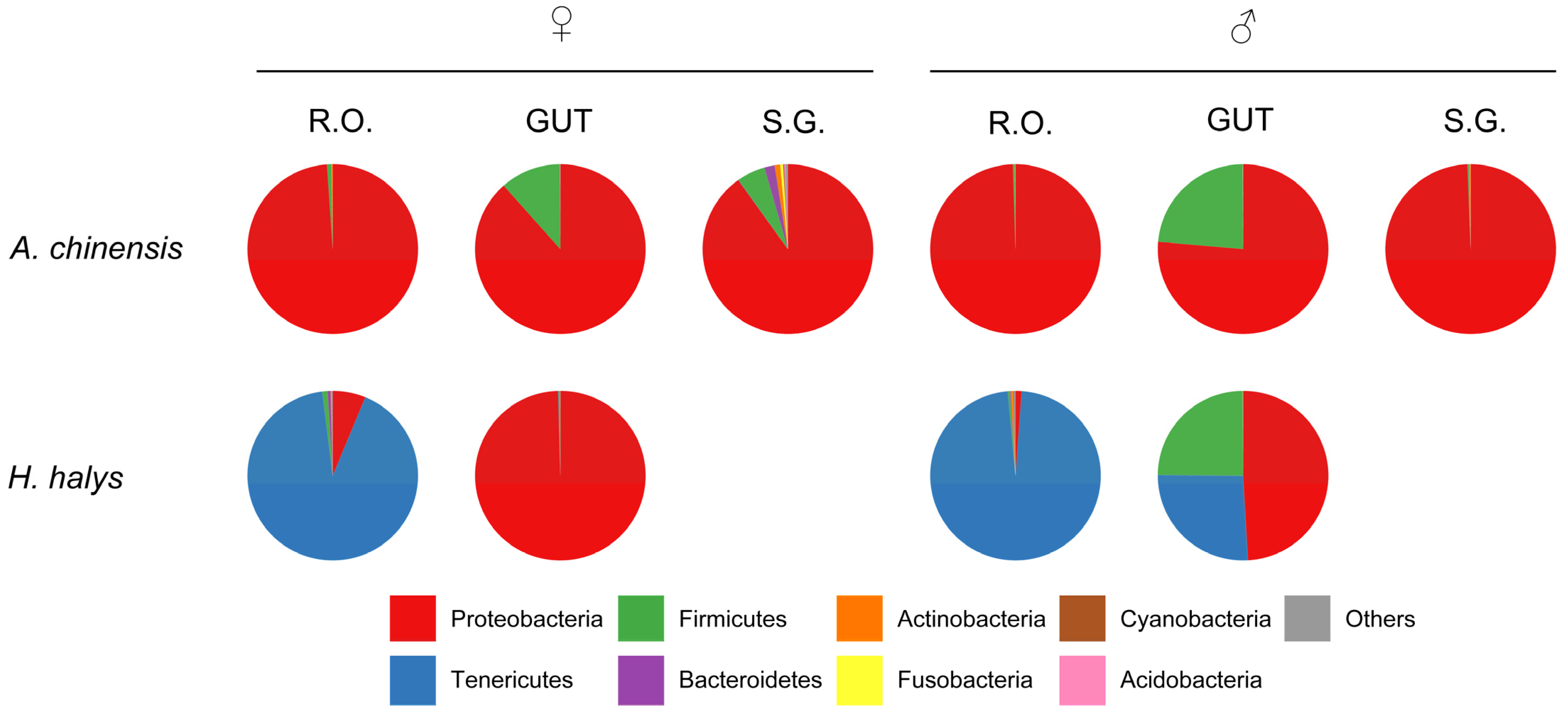 Insects 16 00146 g003