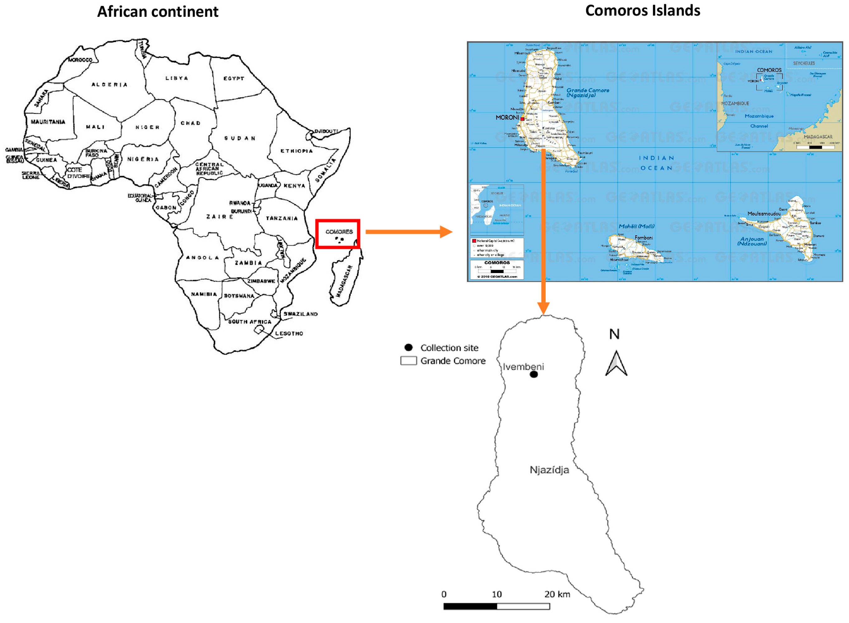 Insects 16 00148 g001