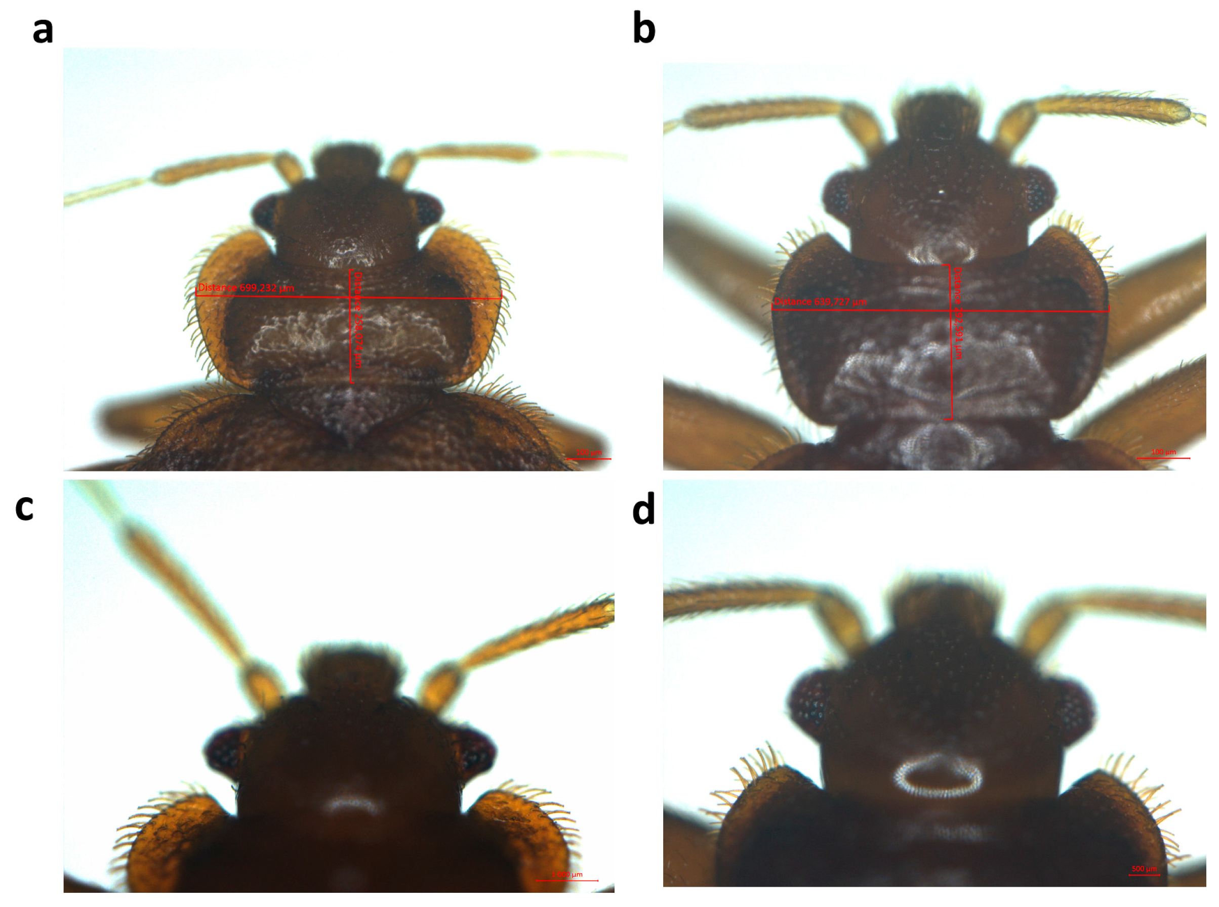 Insects 16 00148 g002