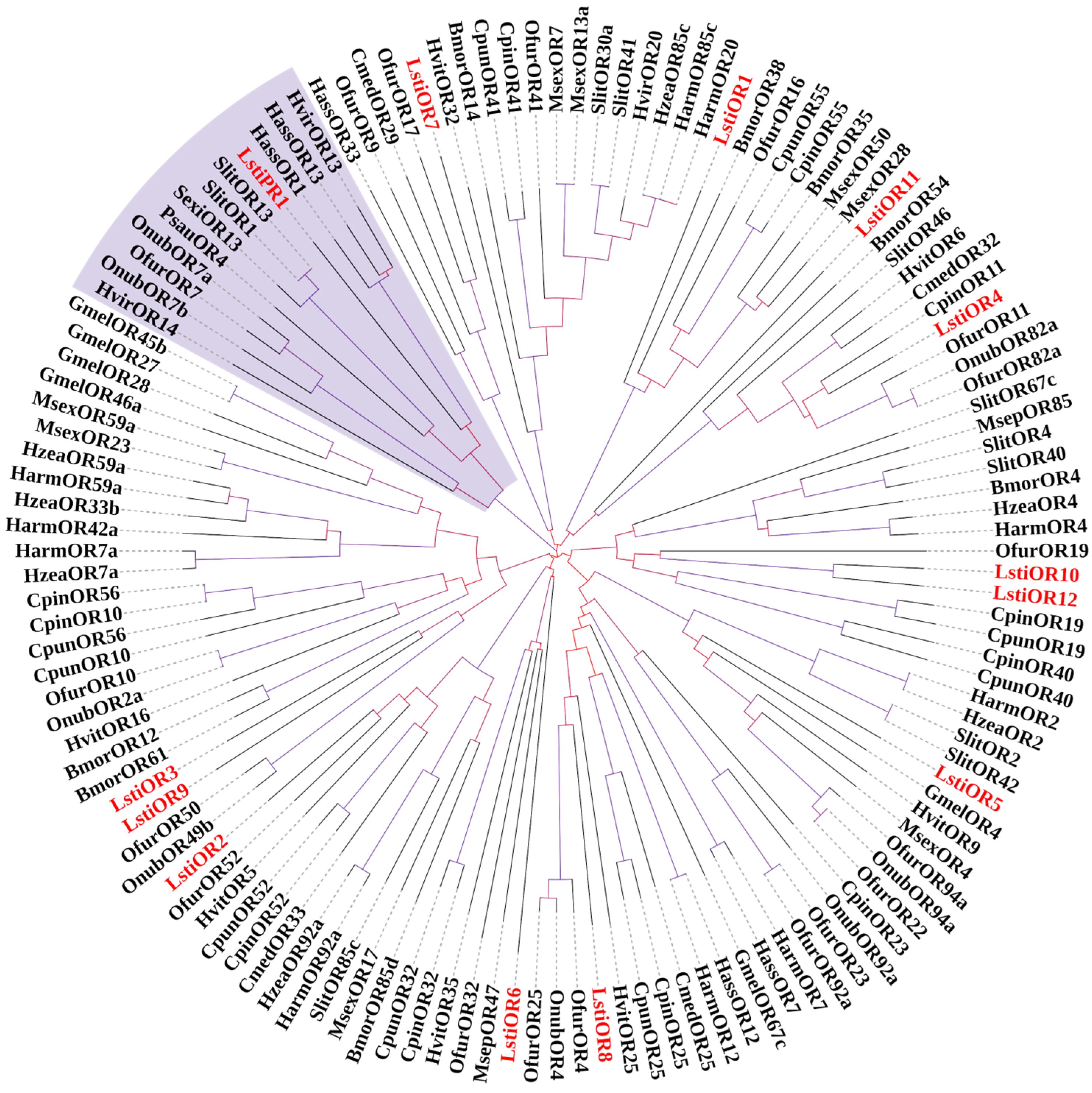 Insects 16 00152 g007
