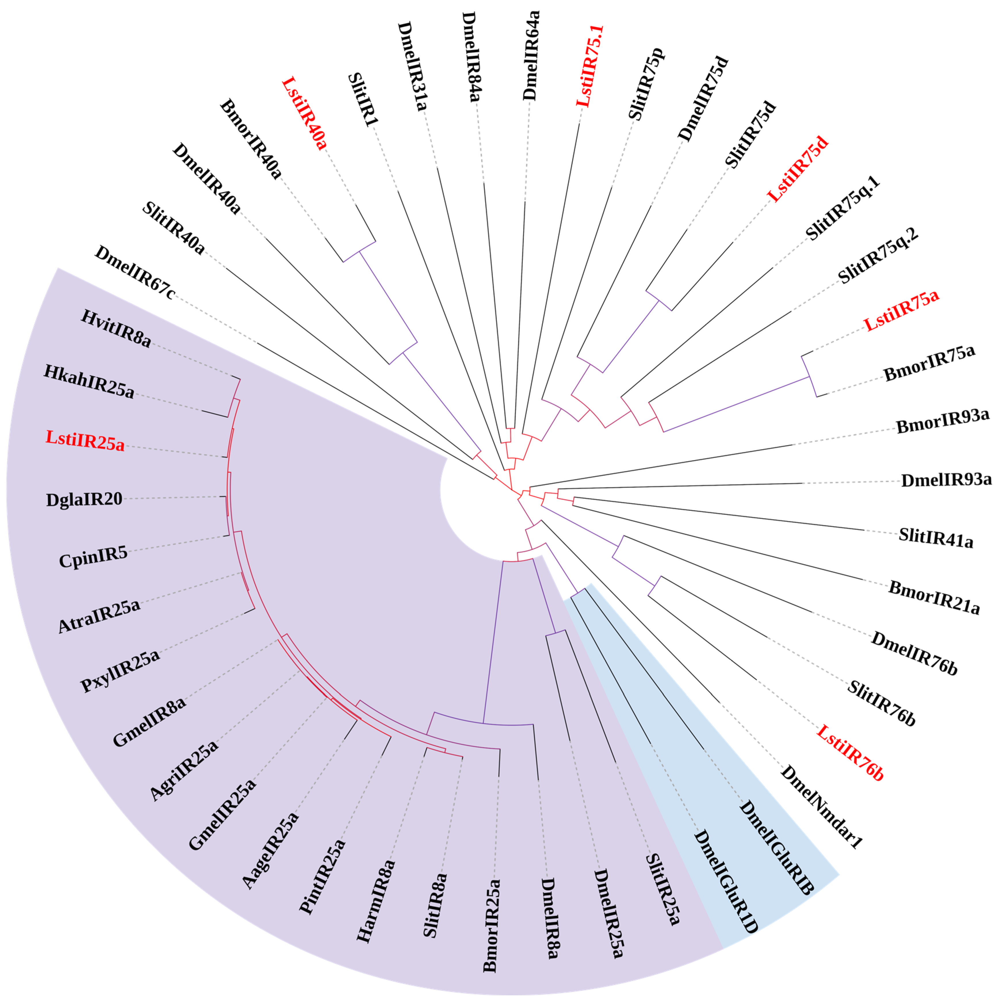 Insects 16 00152 g008