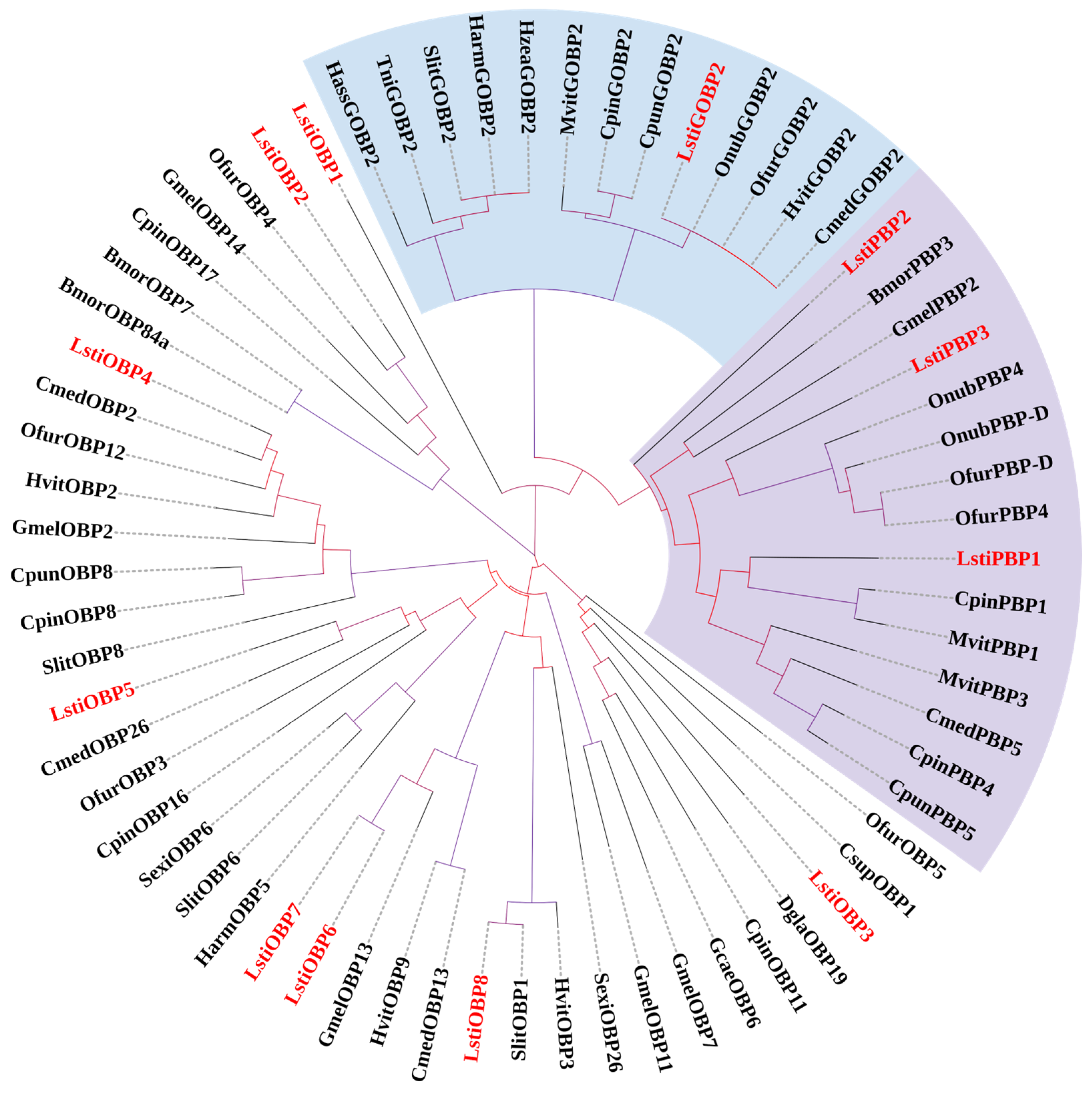 Insects 16 00152 g010
