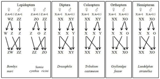 Insects 16 00160 g001