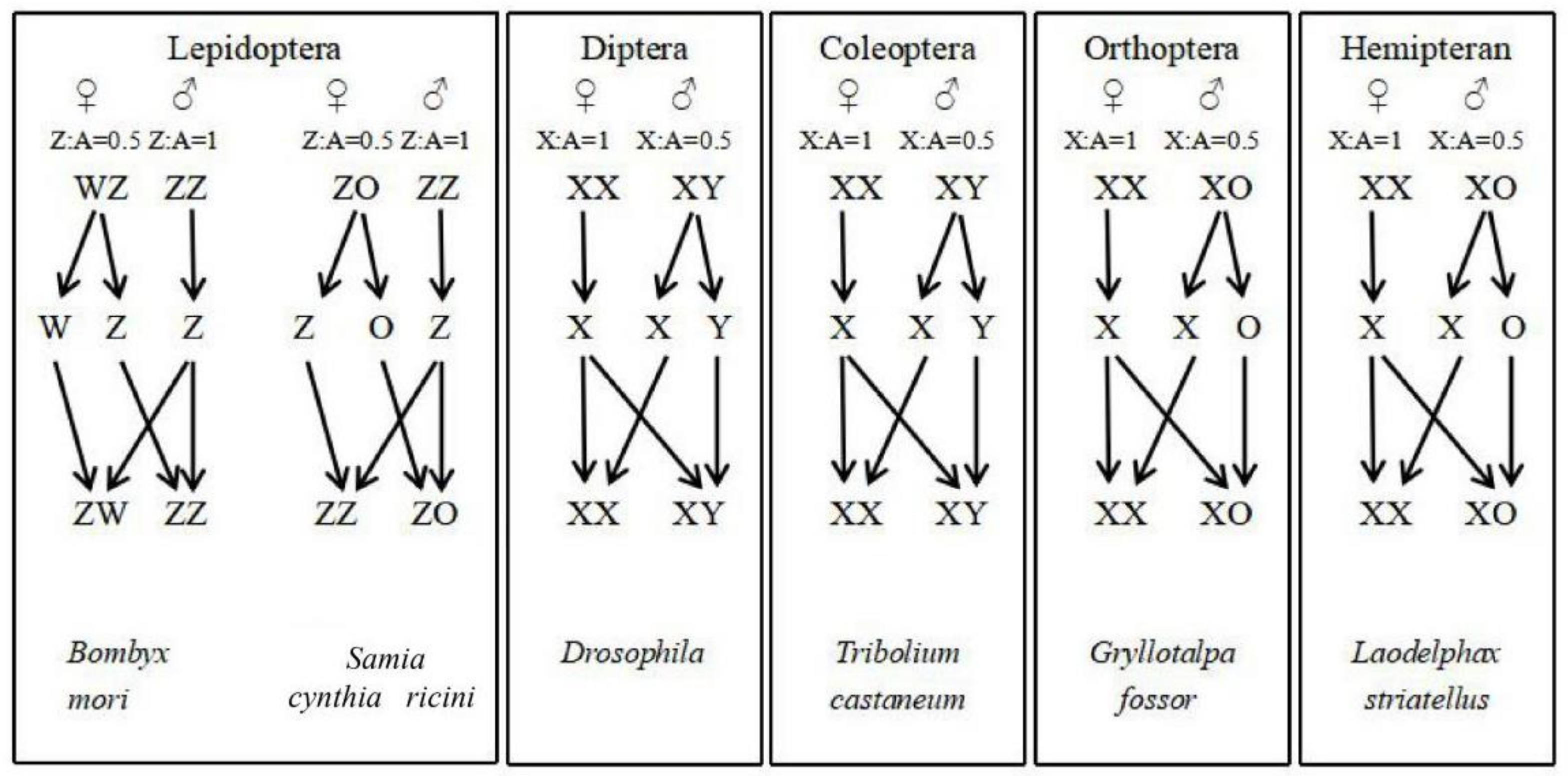 Insects 16 00160 g001
