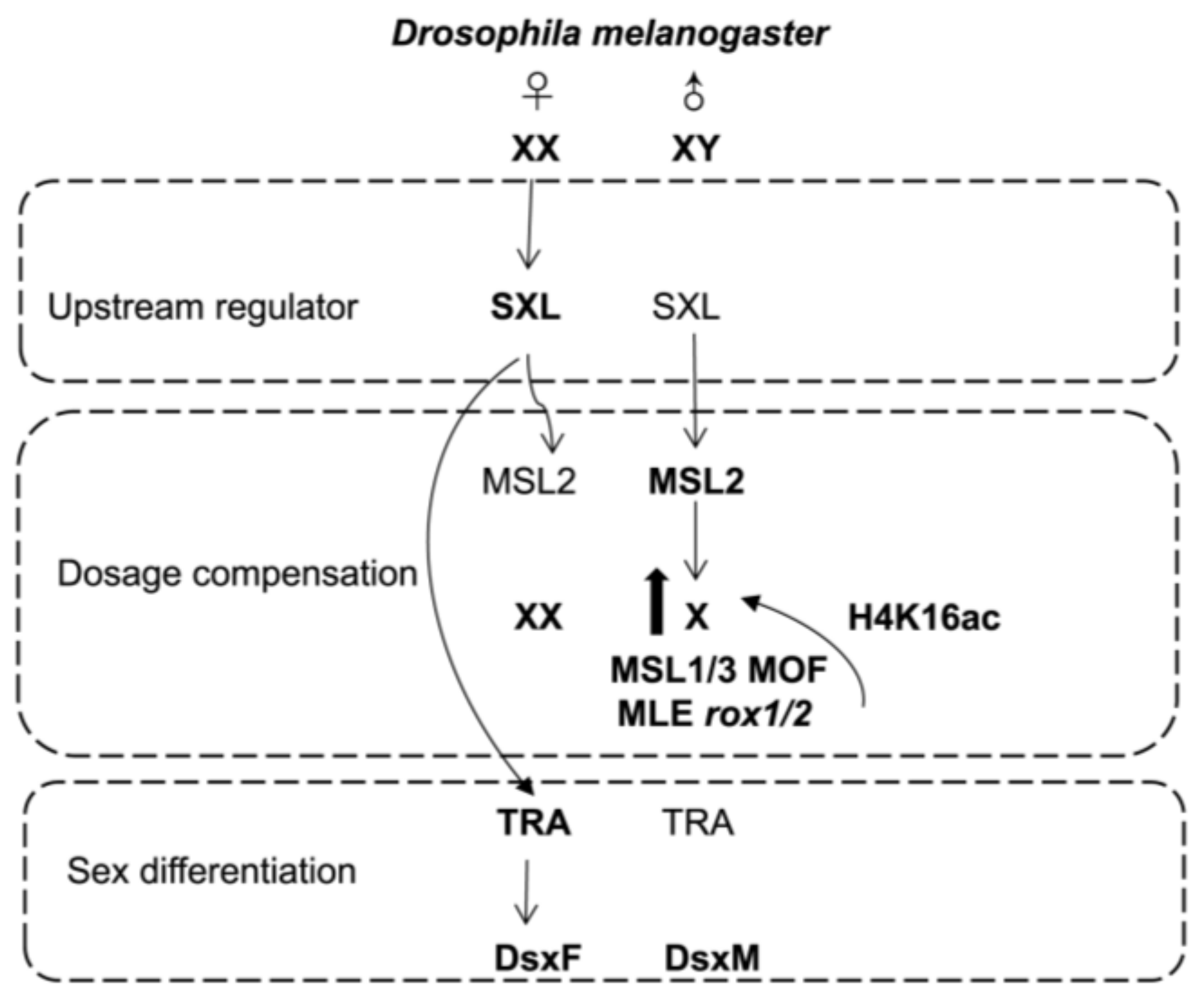 Insects 16 00160 g002