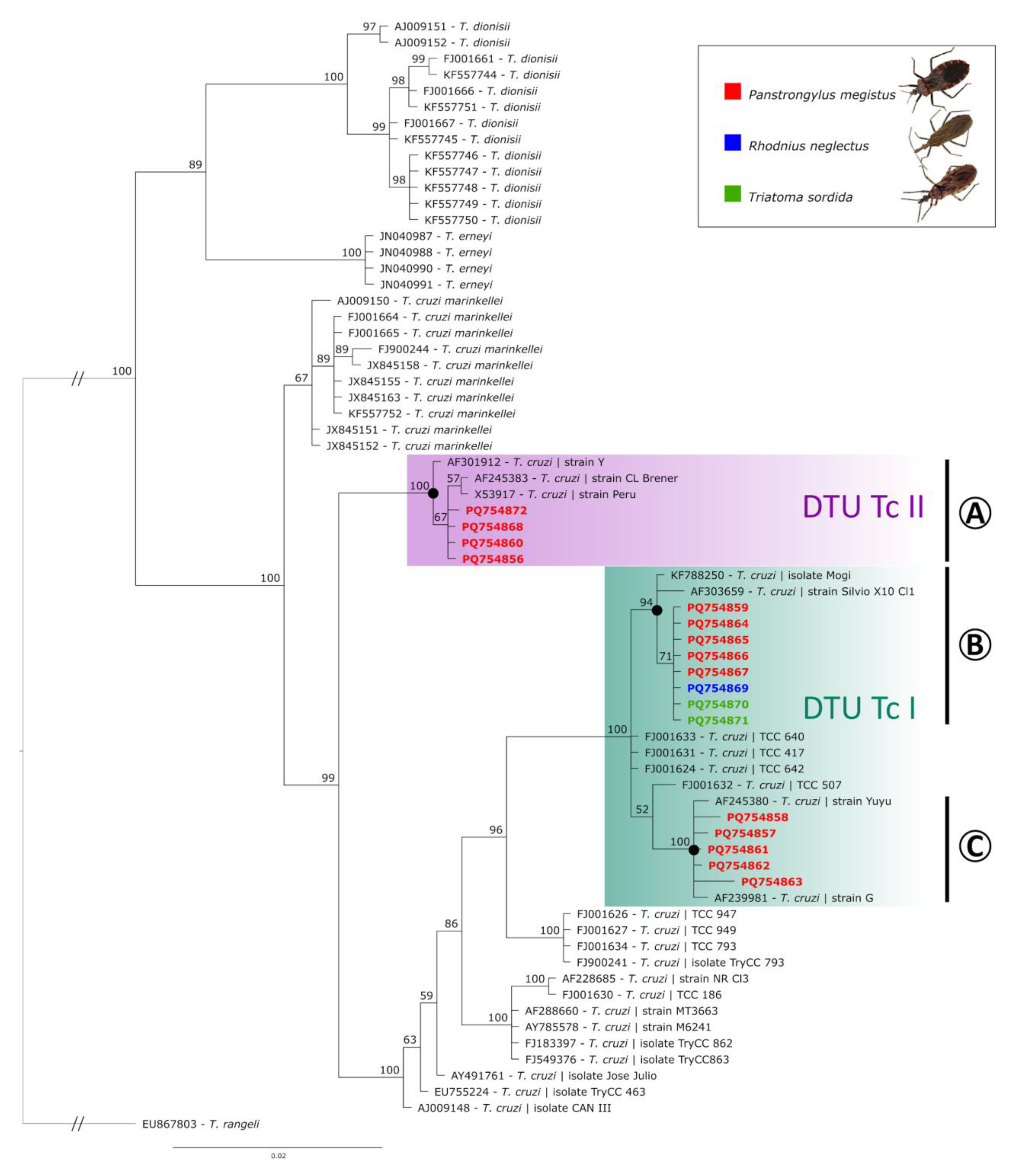 Insects 16 00161 g002