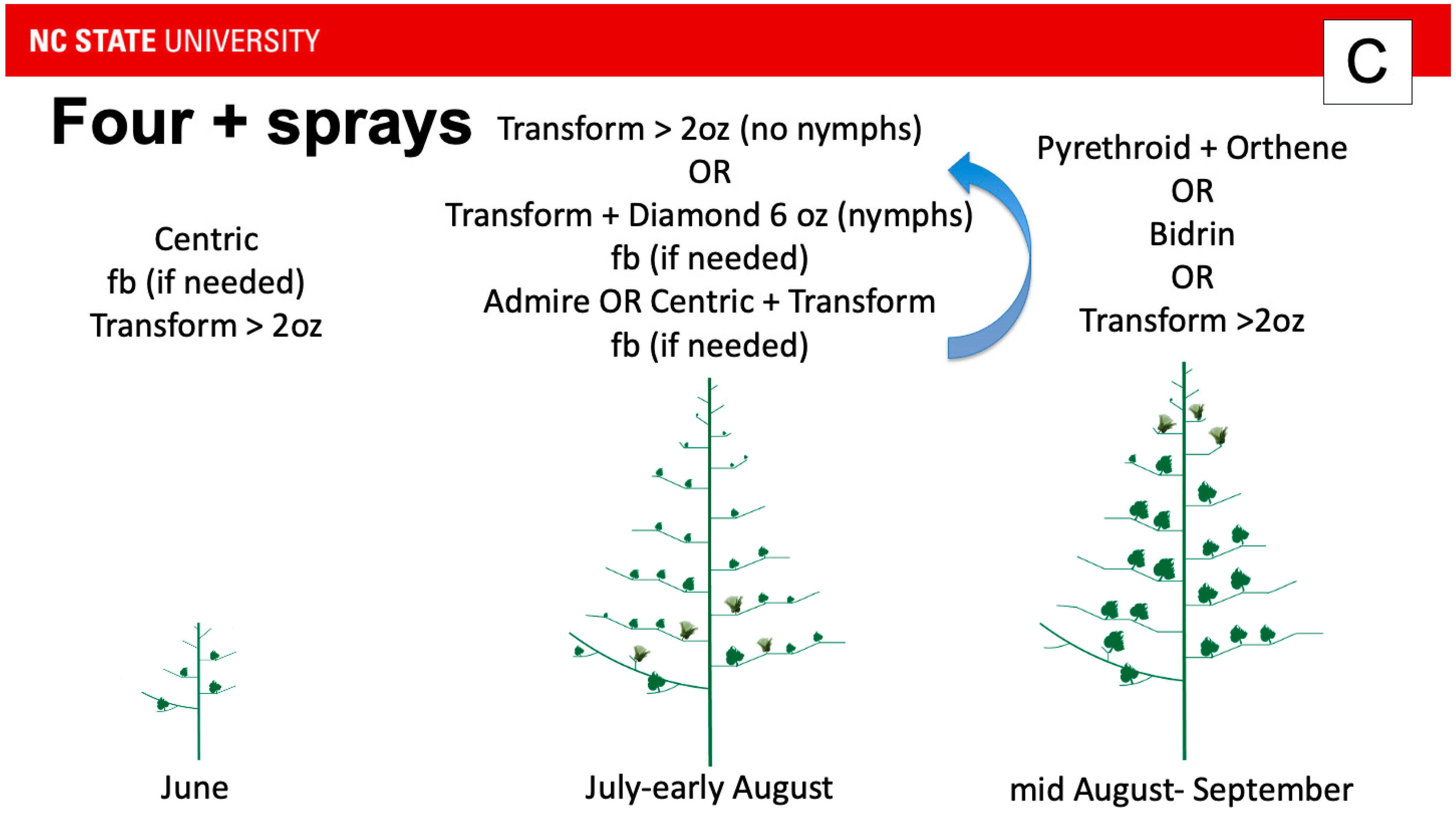 Insects 16 00164 g003b