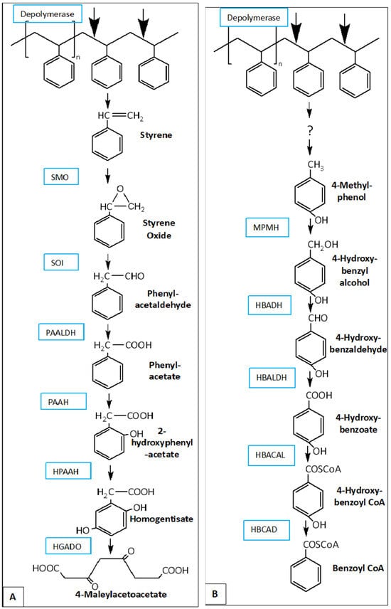 Insects 16 00165 g007
