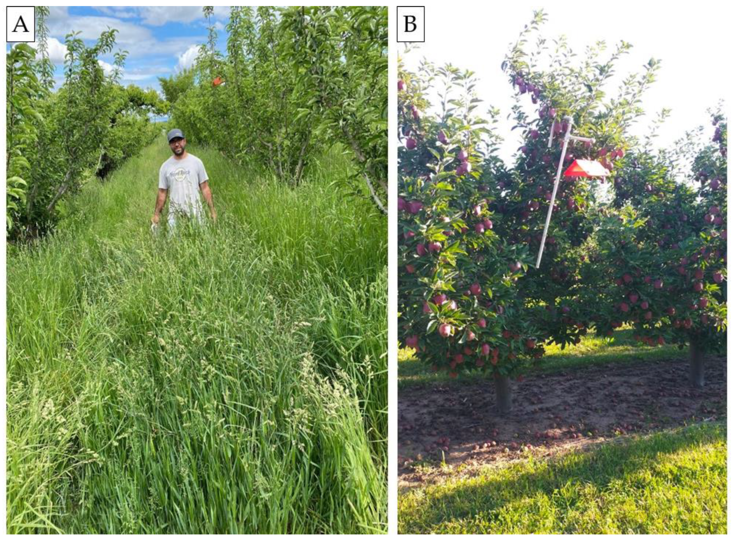 Insects 16 00172 g002