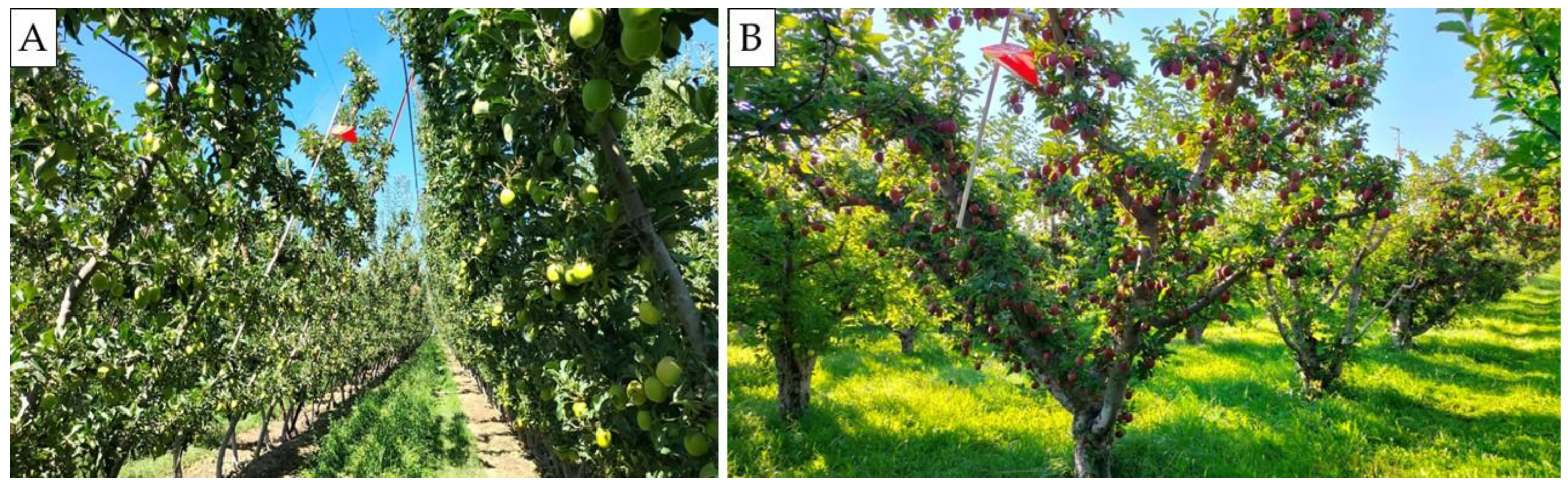 Insects 16 00172 g005