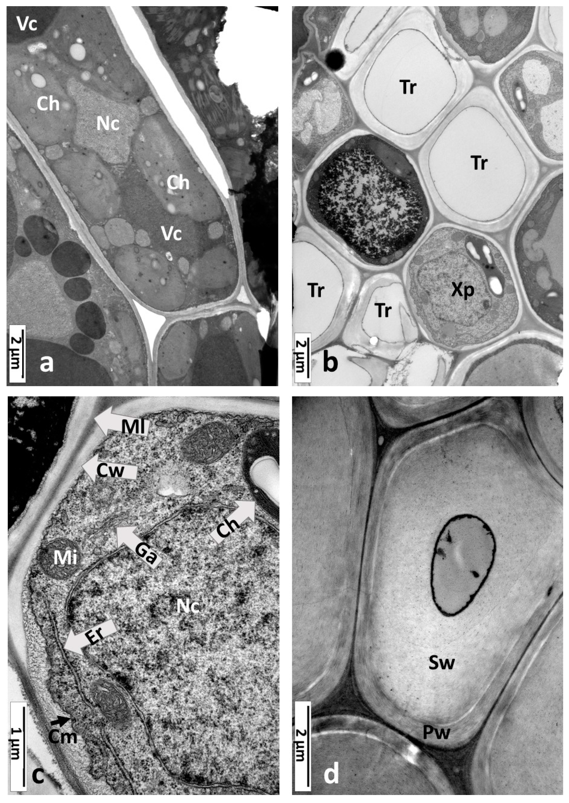 Insects 16 00173 g002