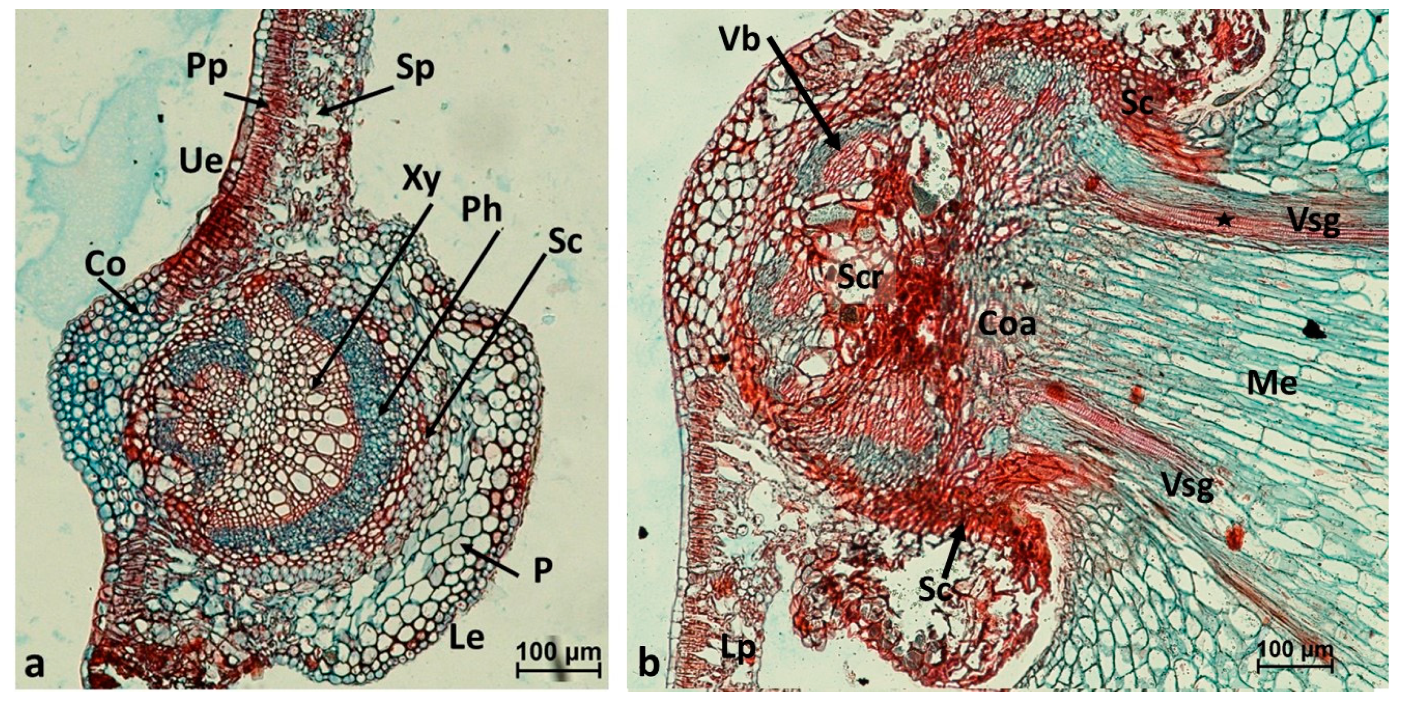 Insects 16 00173 g003