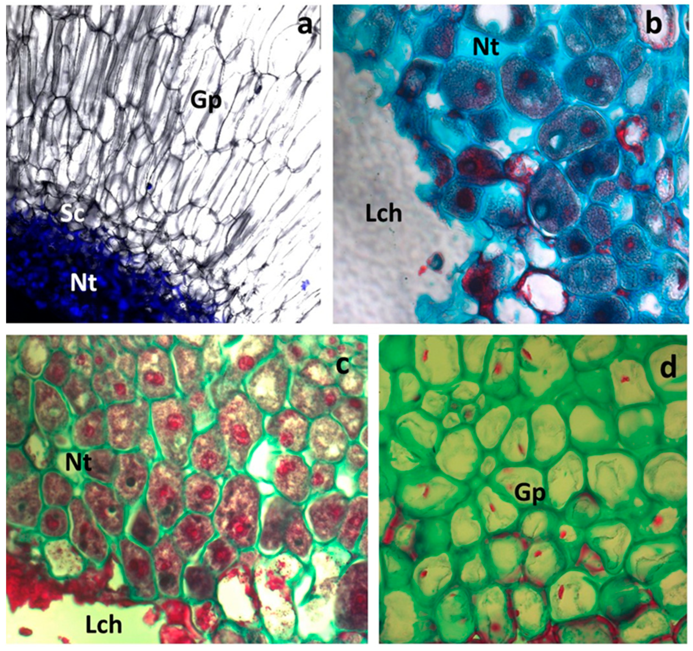 Insects 16 00173 g005