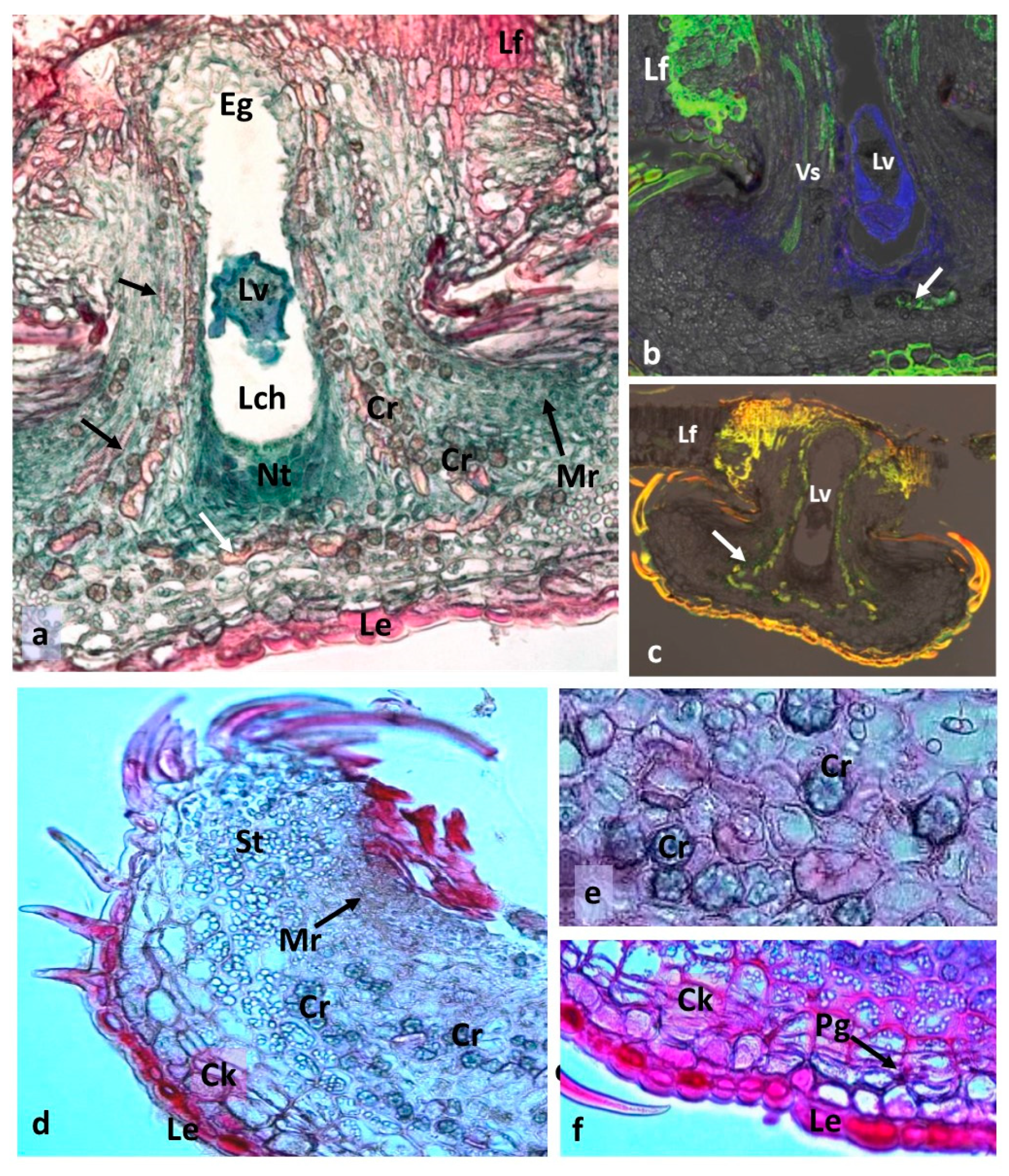 Insects 16 00173 g006