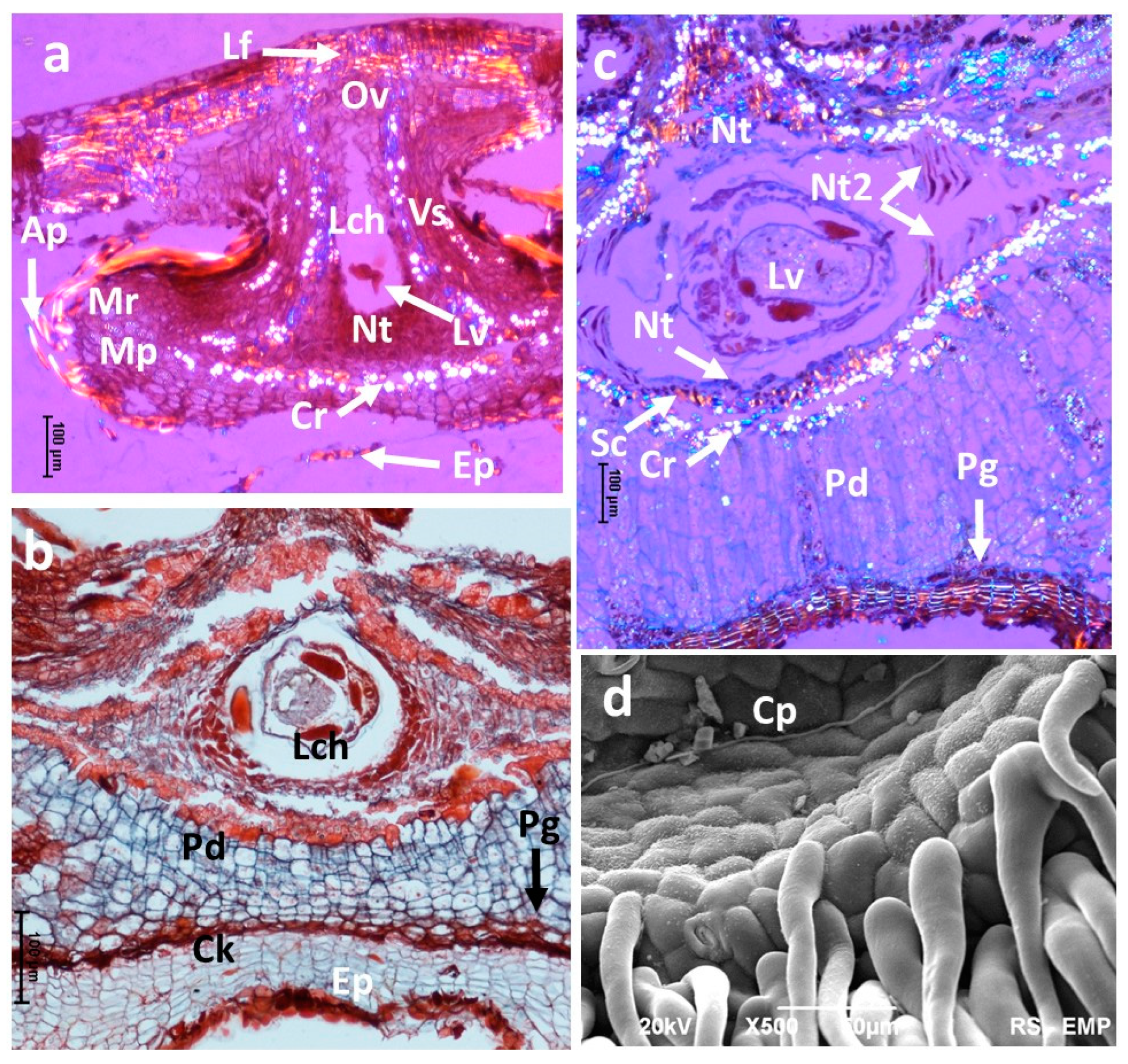 Insects 16 00173 g007