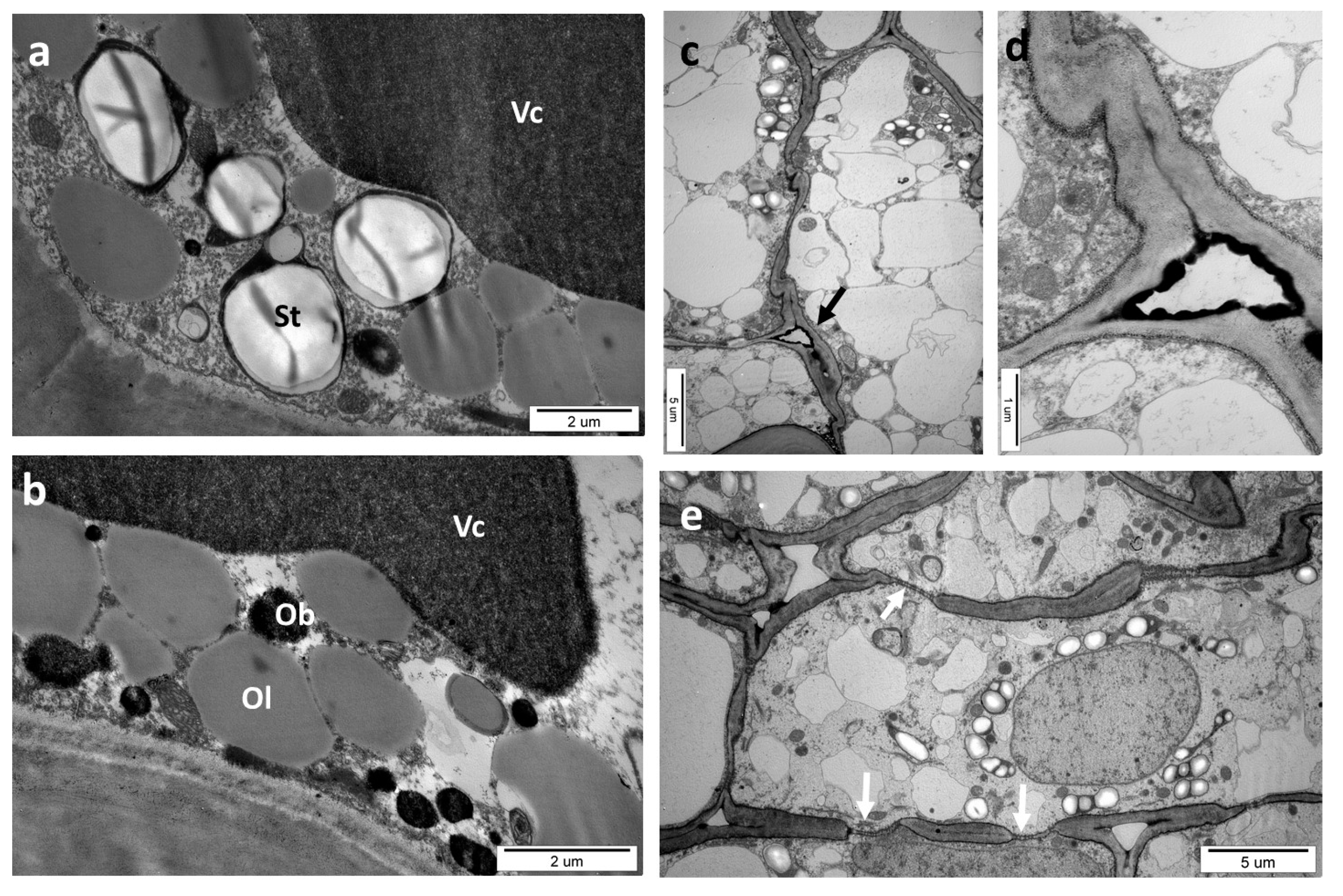 Insects 16 00173 g009
