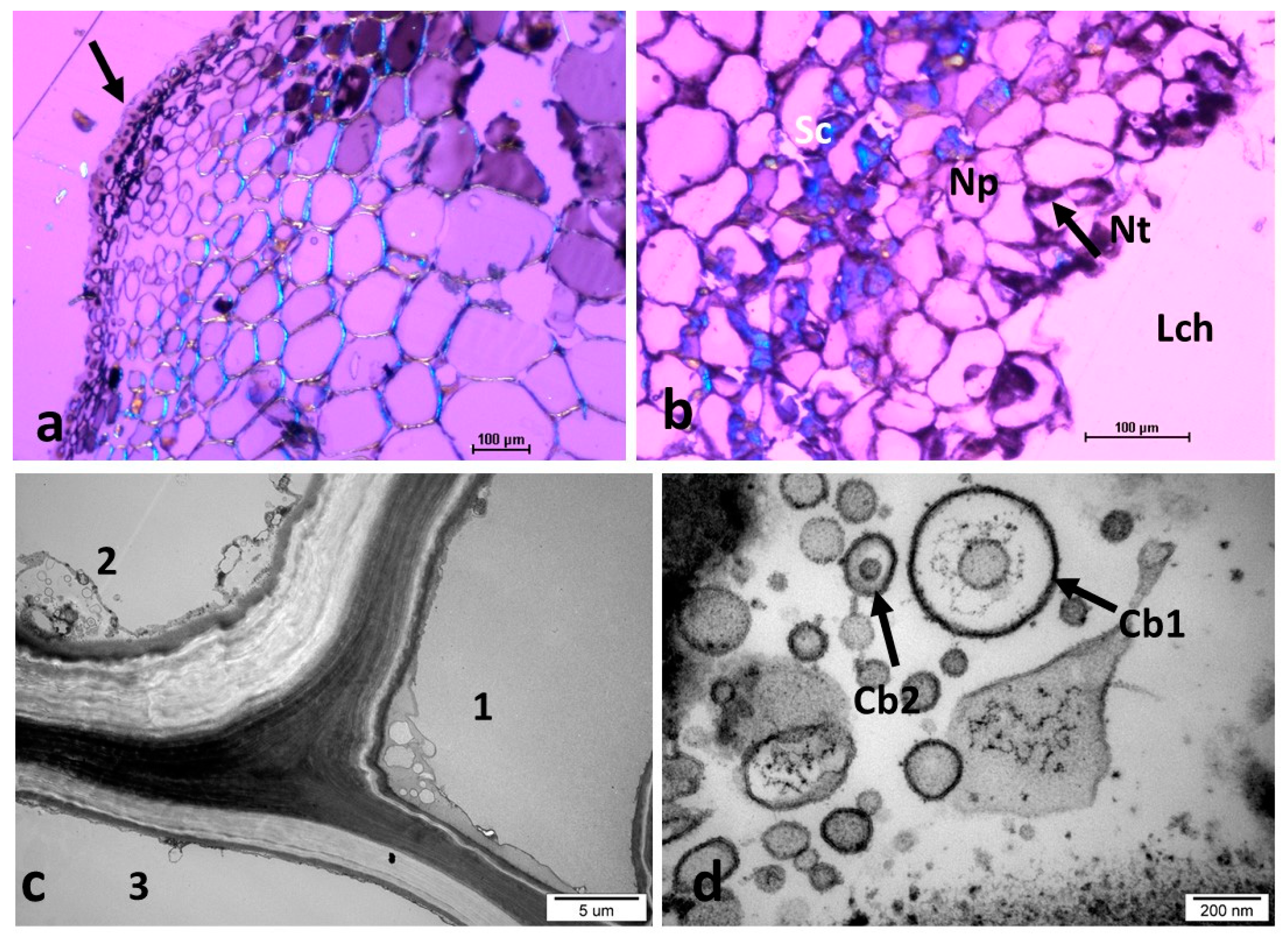 Insects 16 00173 g010