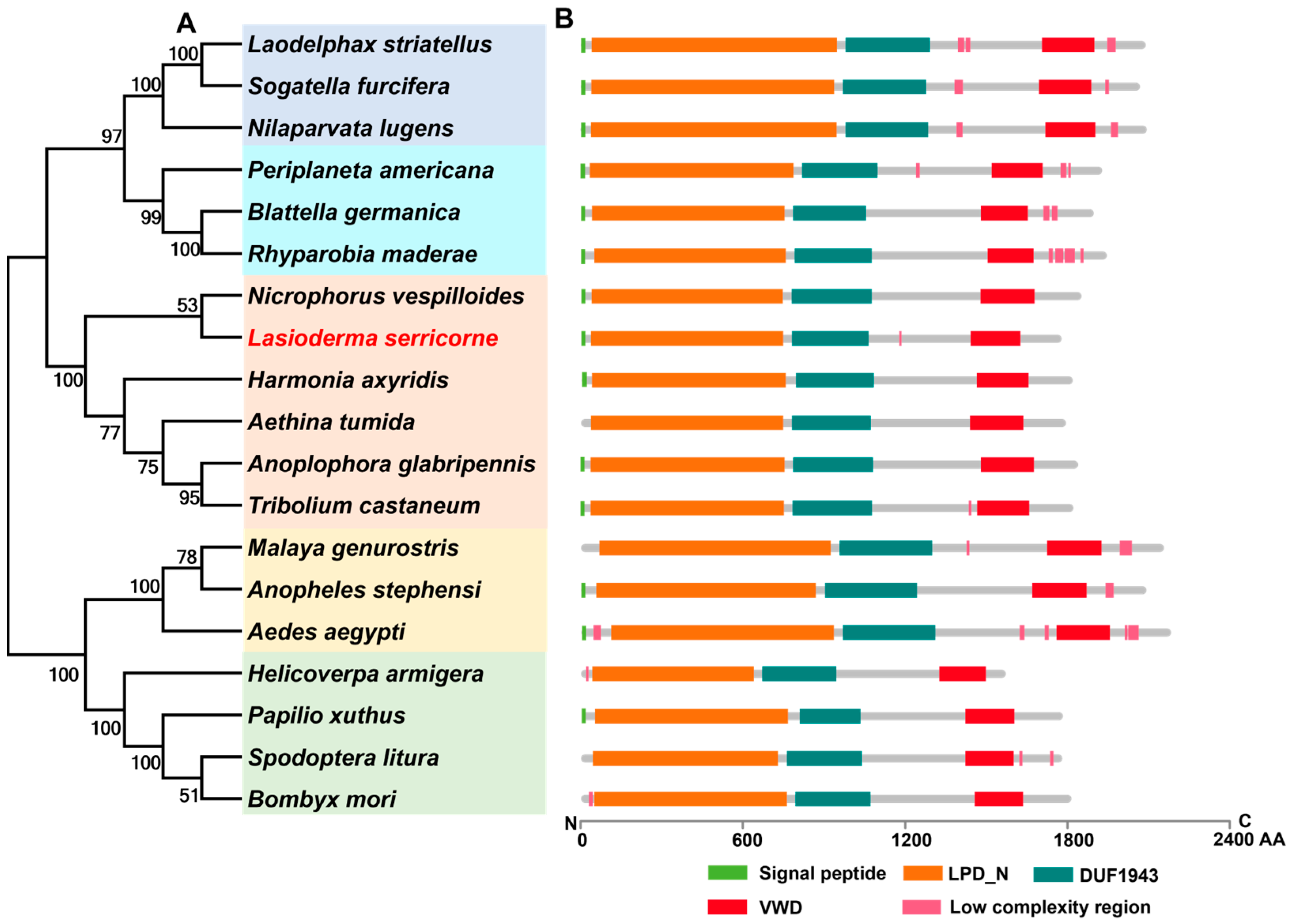 Insects 16 00175 g001