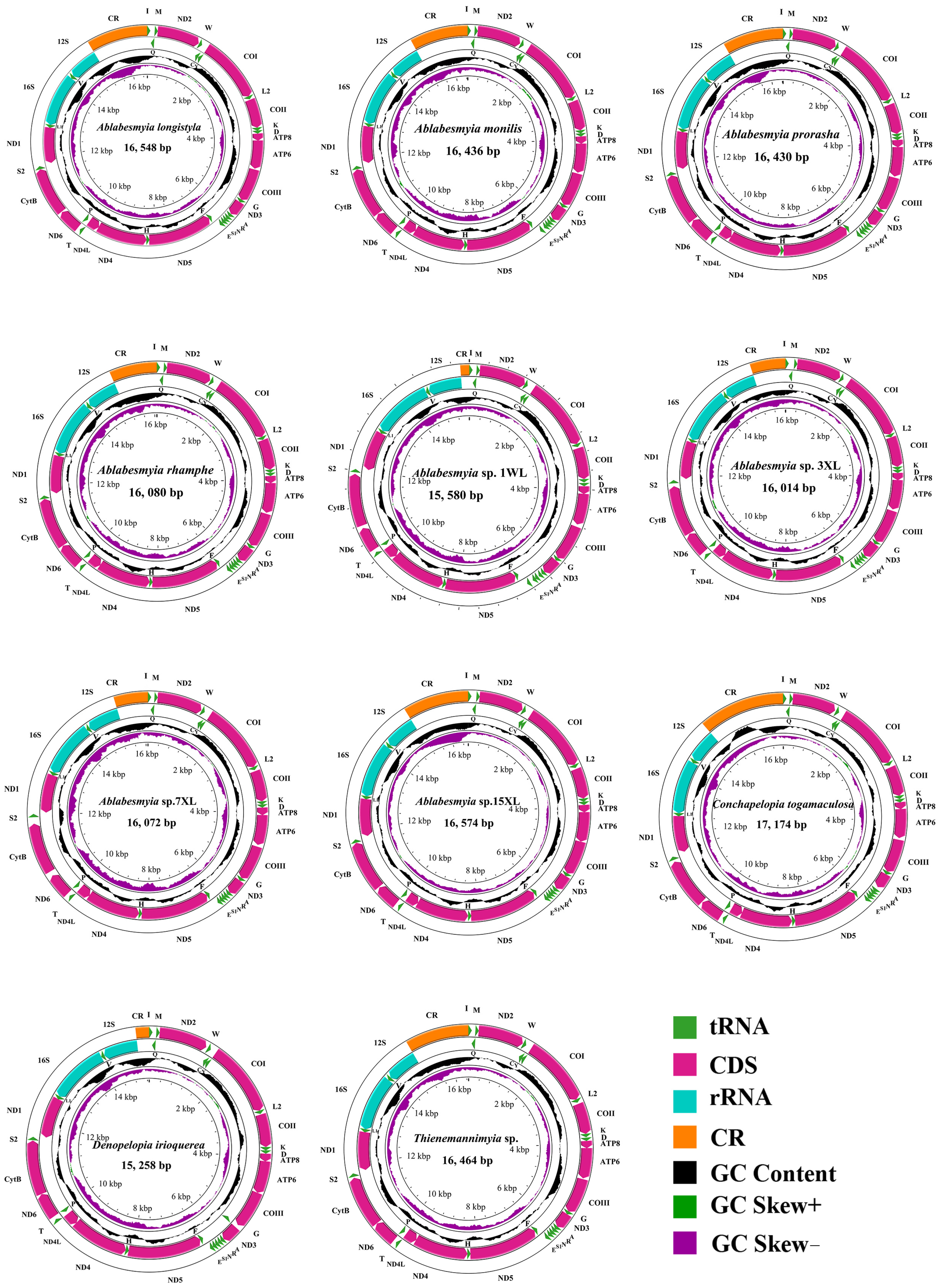 Insects 16 00178 g001