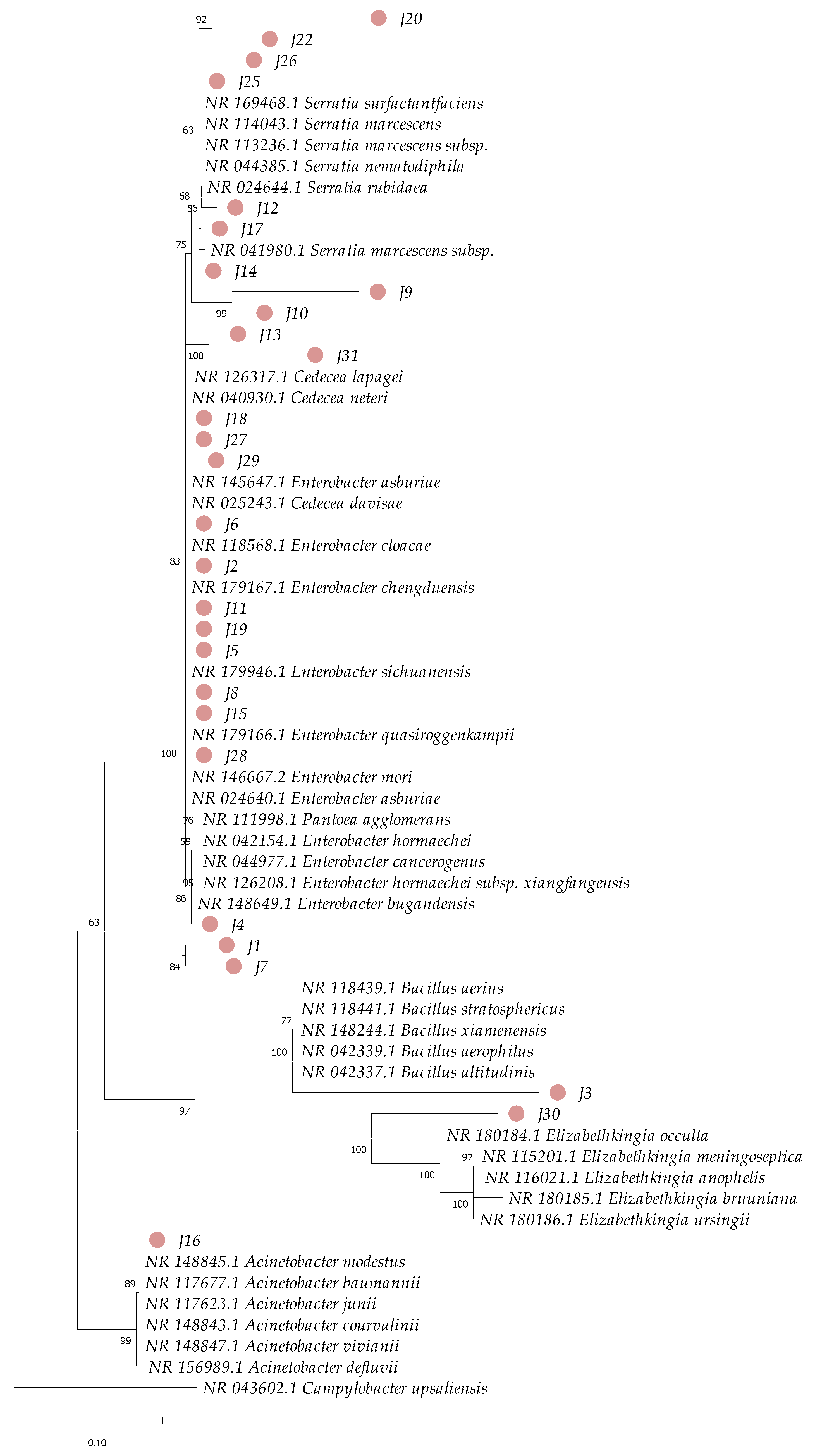 Insects 16 00181 g005