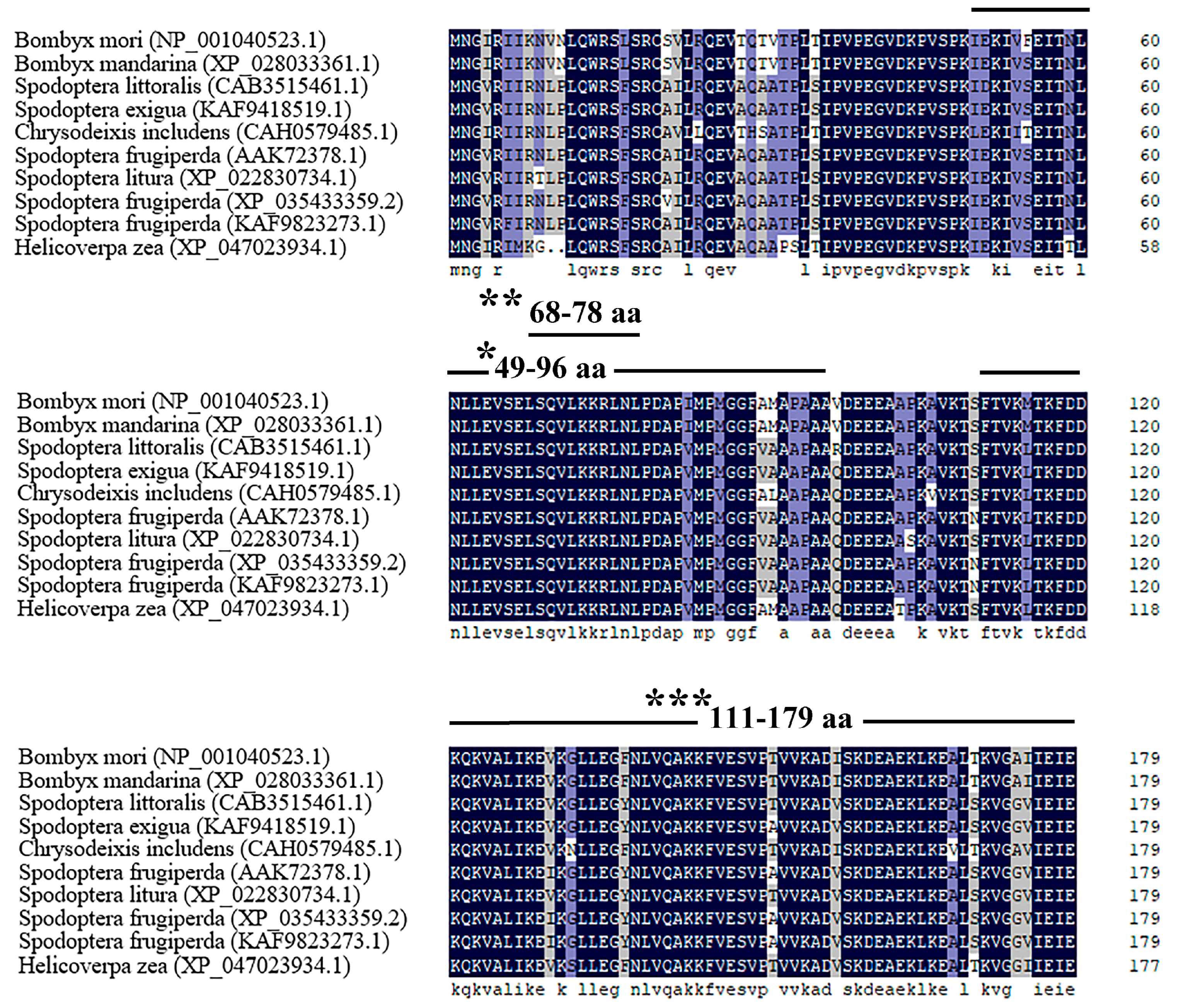 Insects 16 00187 g001