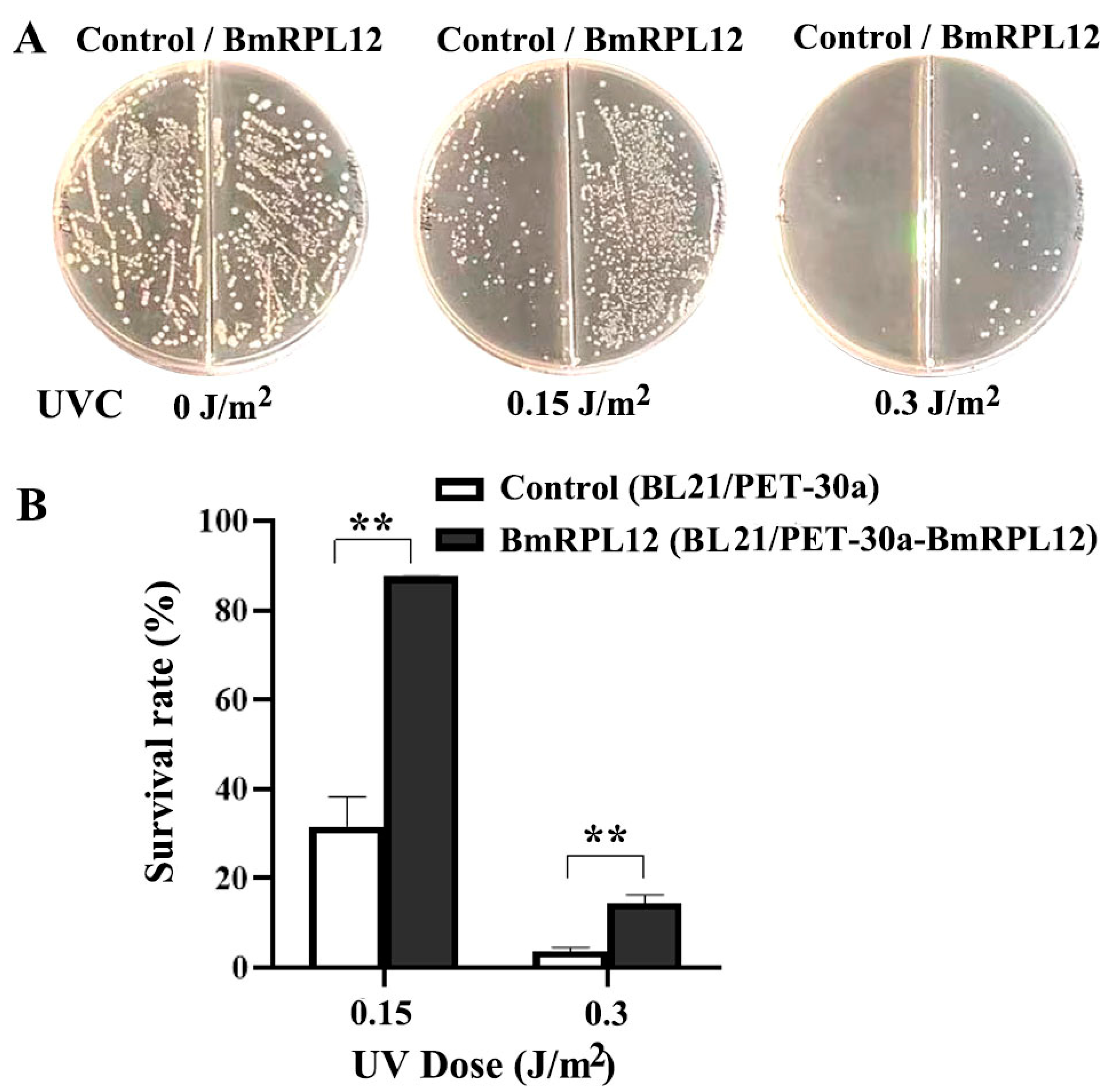 Insects 16 00187 g002