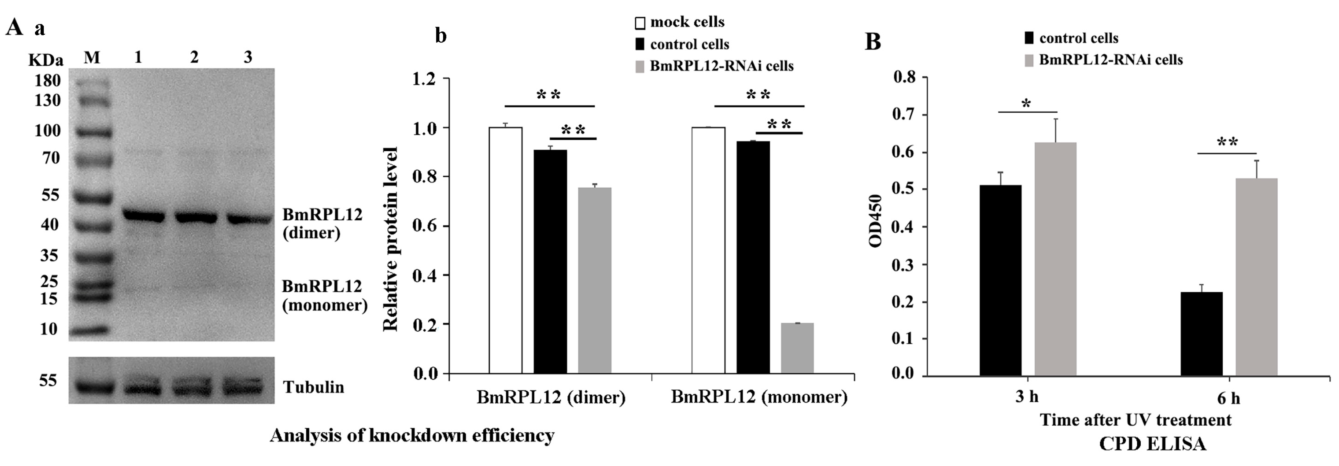 Insects 16 00187 g004