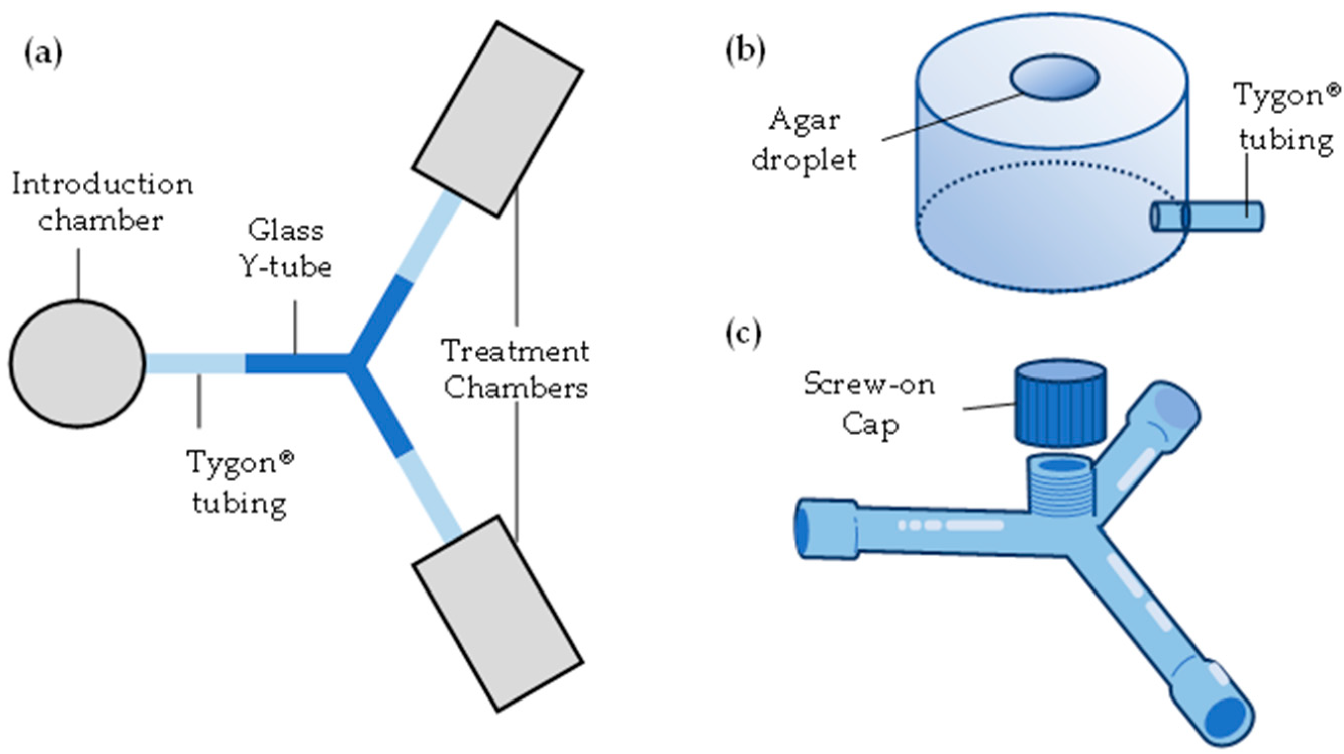 Insects 16 00194 g001