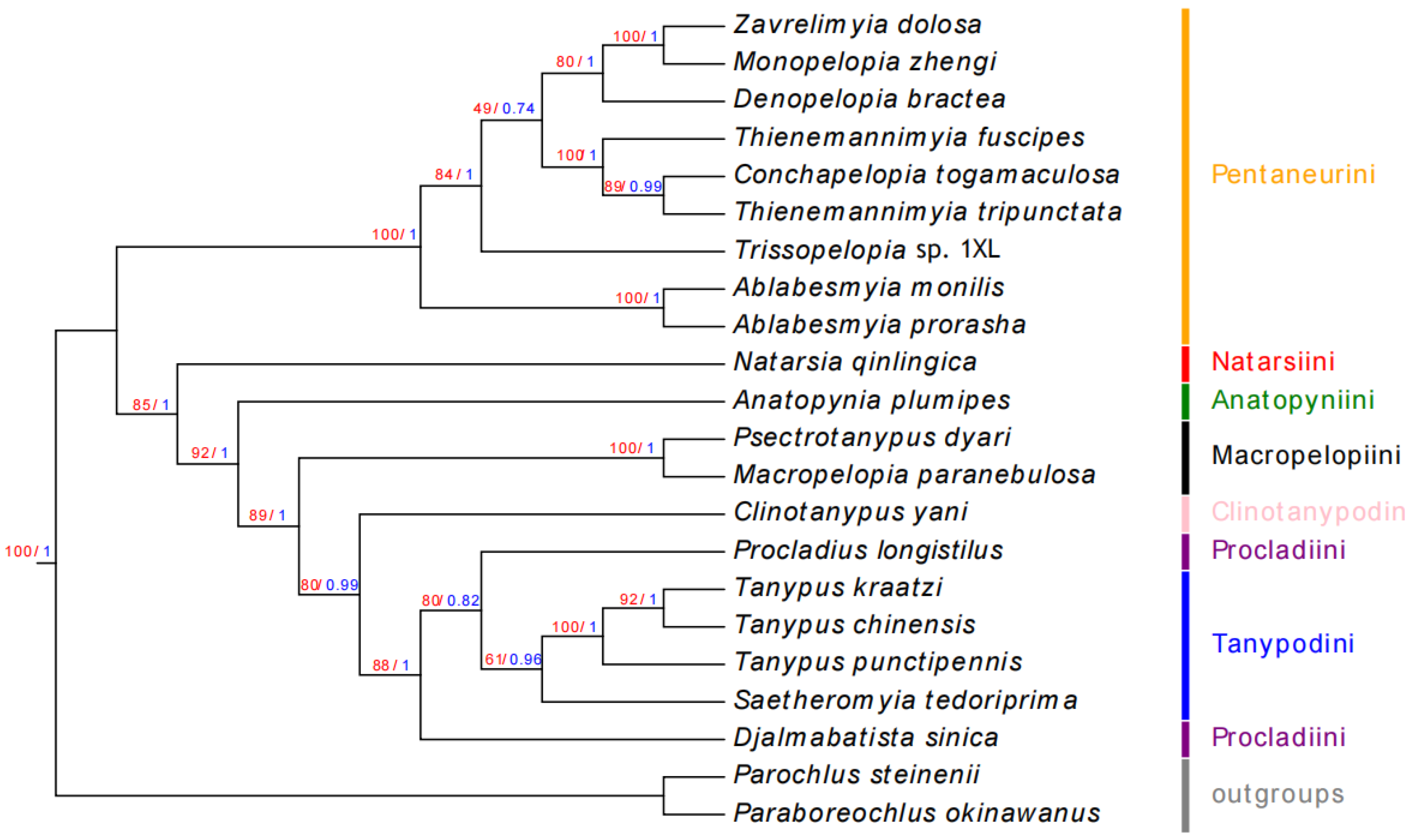 Insects 16 00203 g006