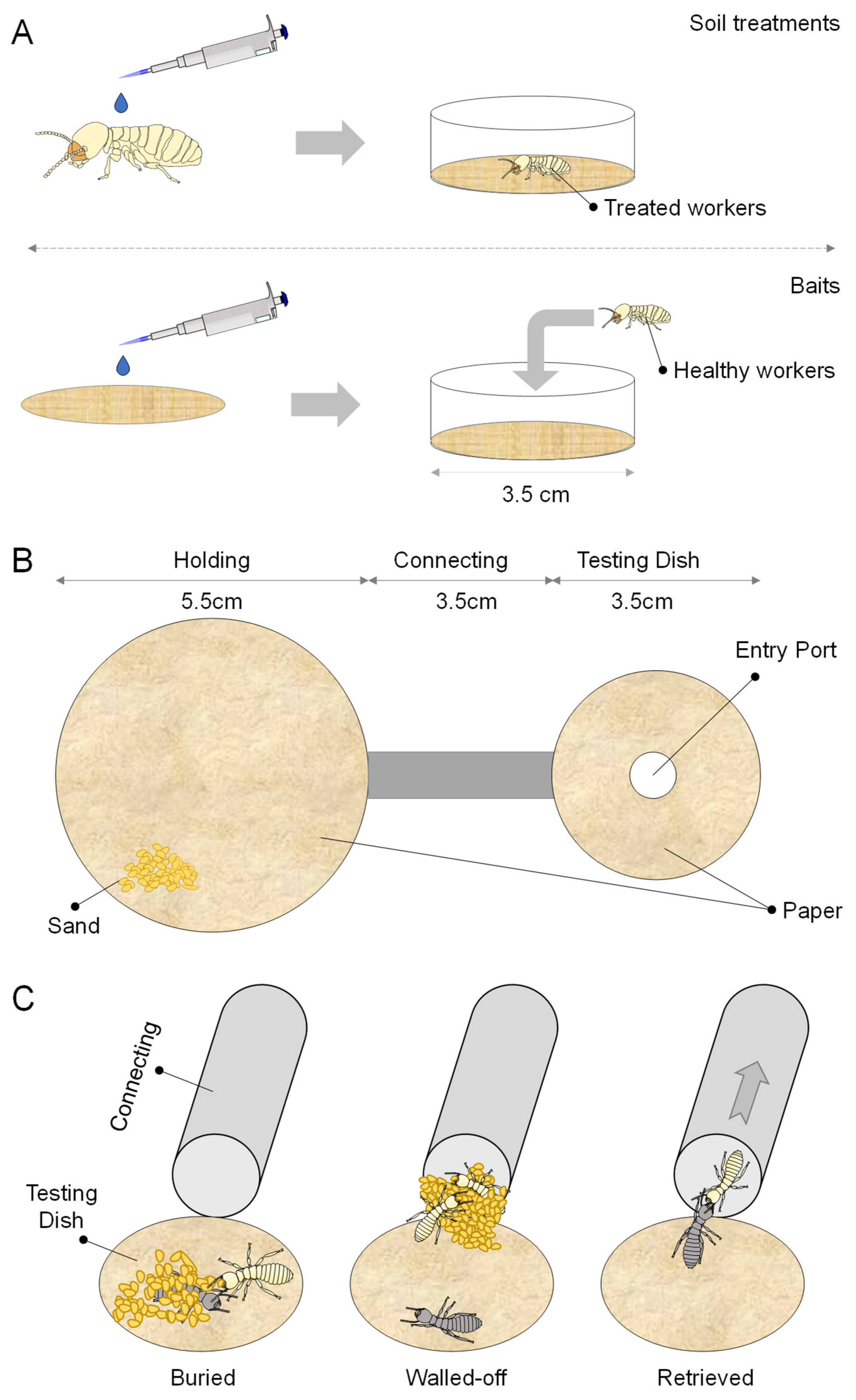 Insects 16 00208 g001