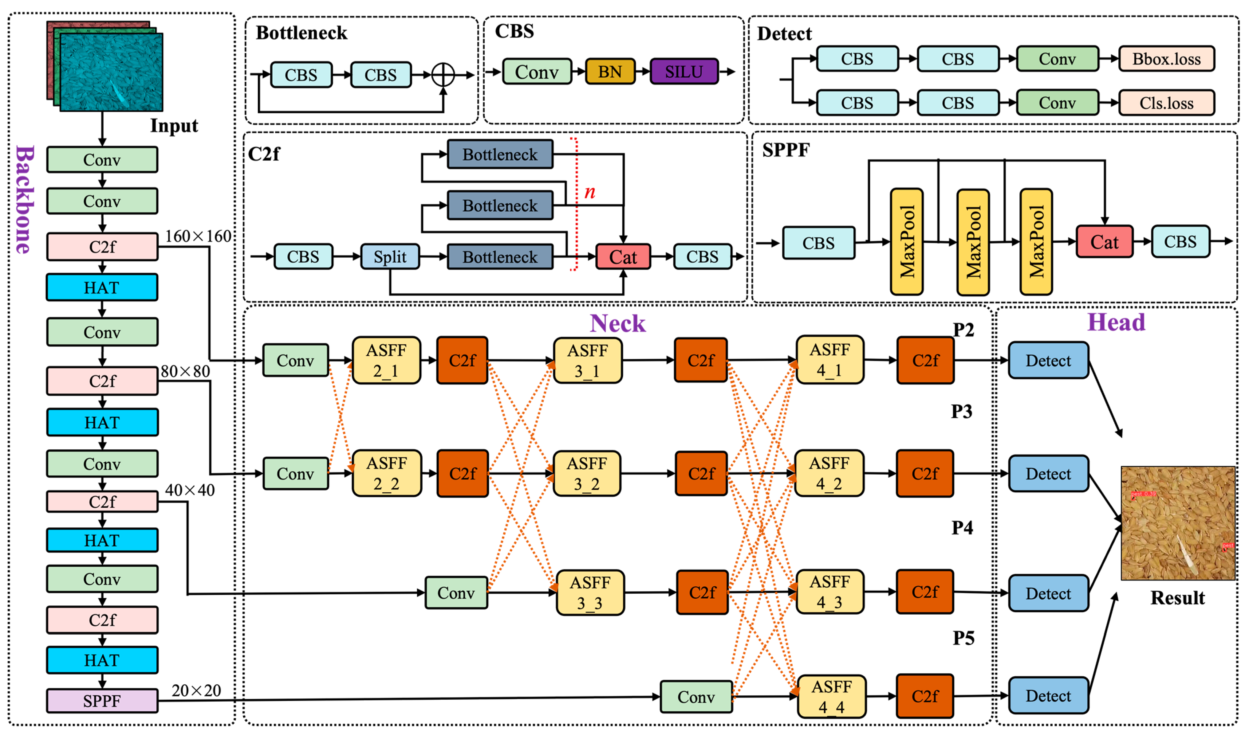 Insects 16 00210 g004