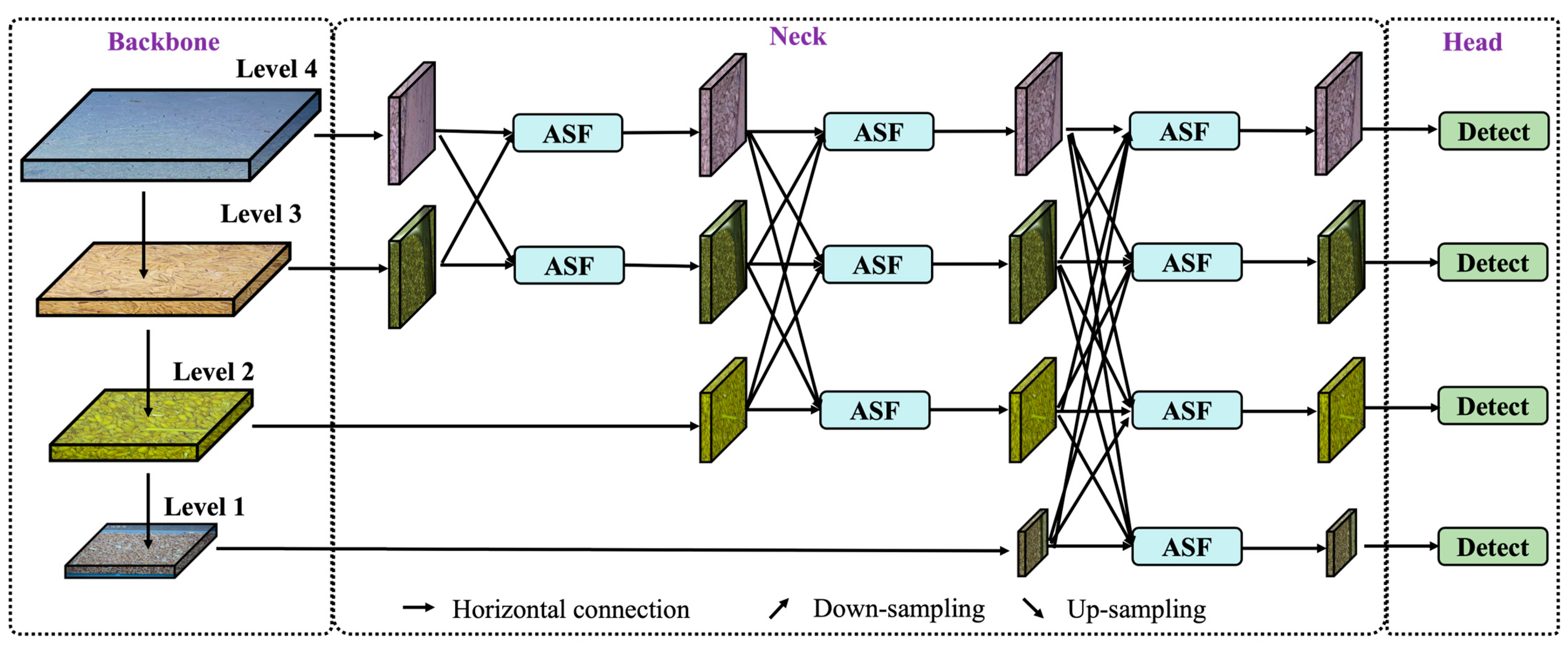 Insects 16 00210 g005