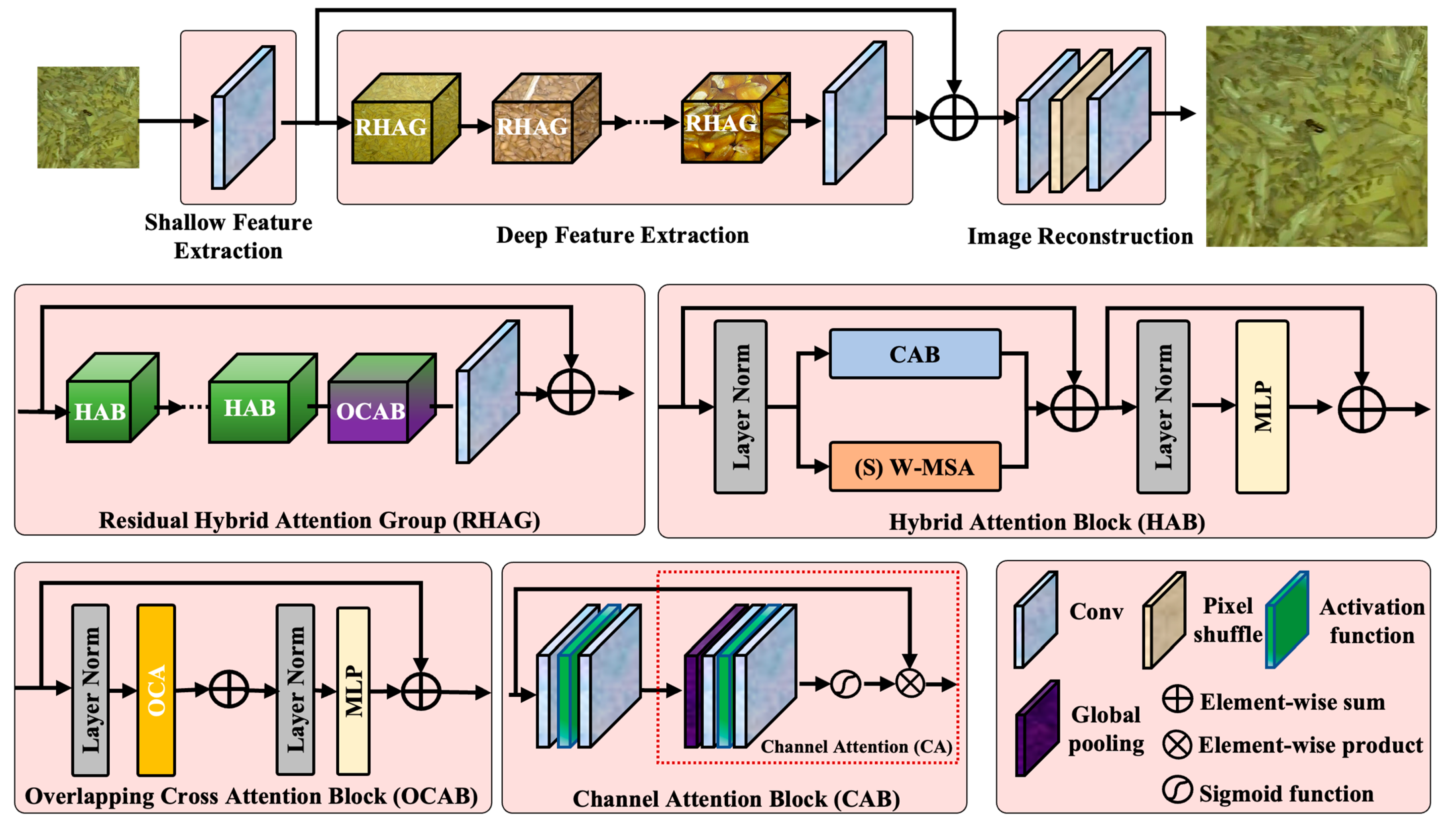 Insects 16 00210 g006