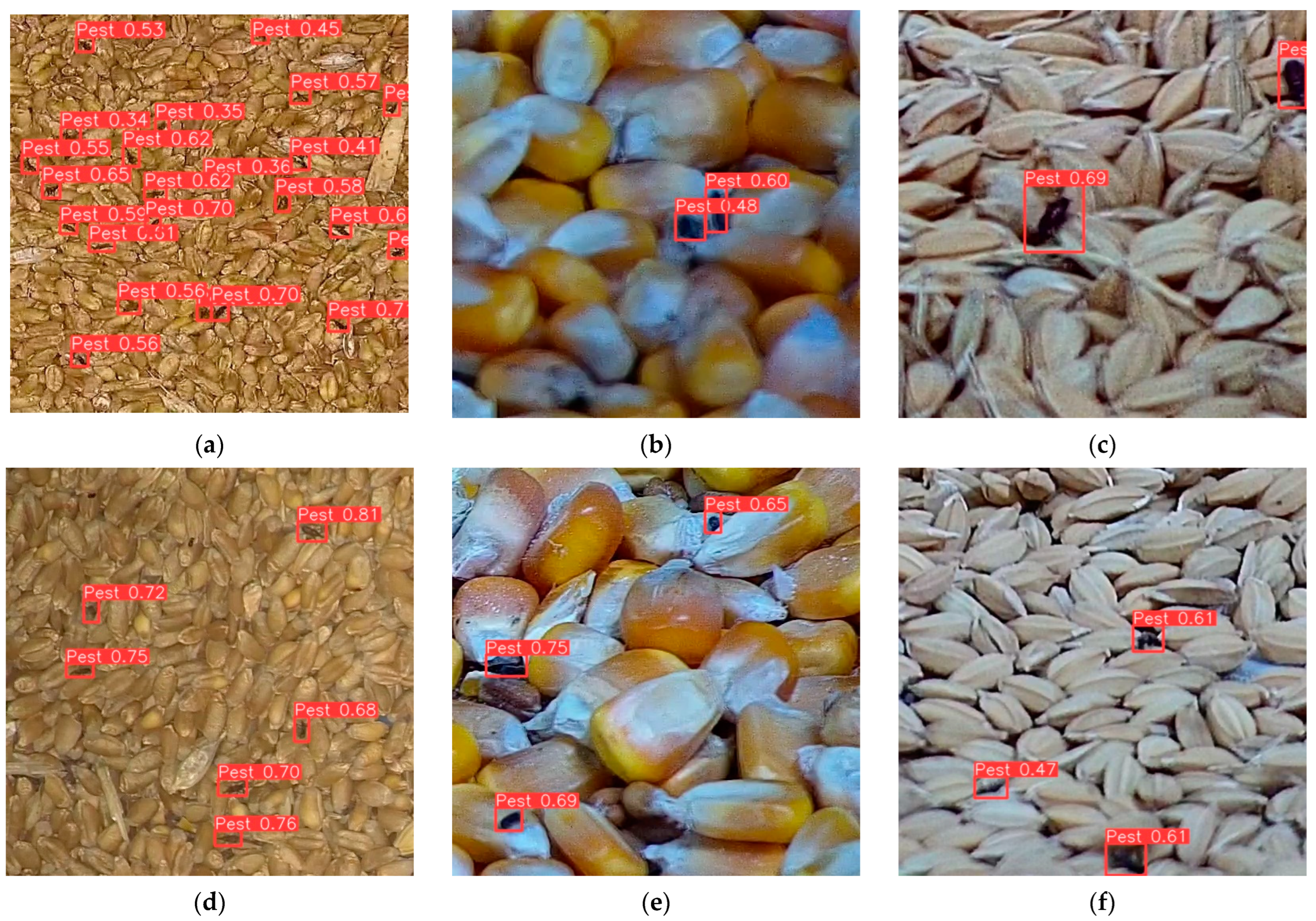 Insects 16 00210 g007