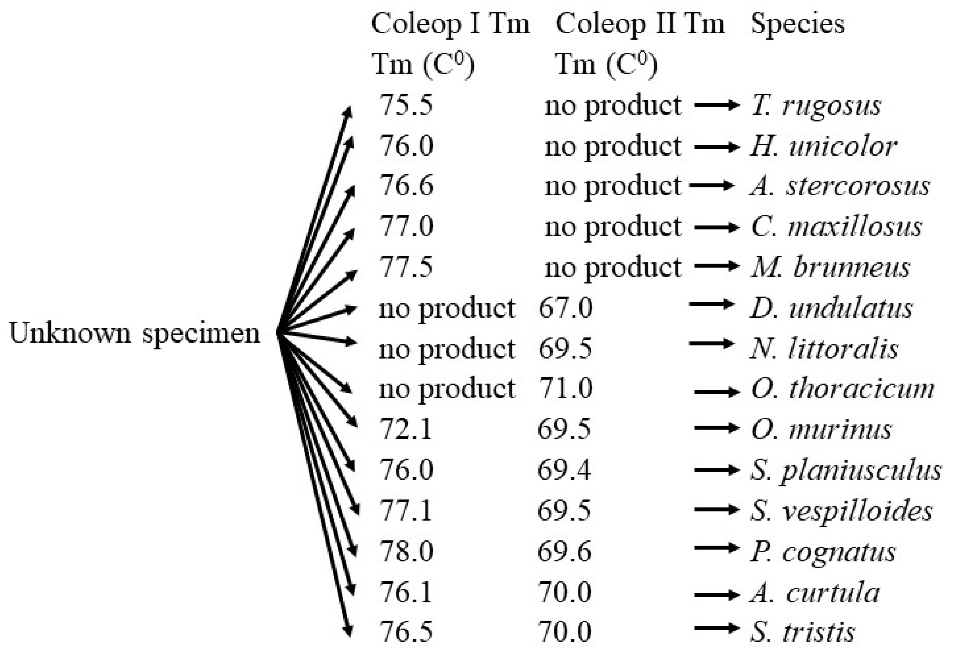 Insects 16 00215 g002