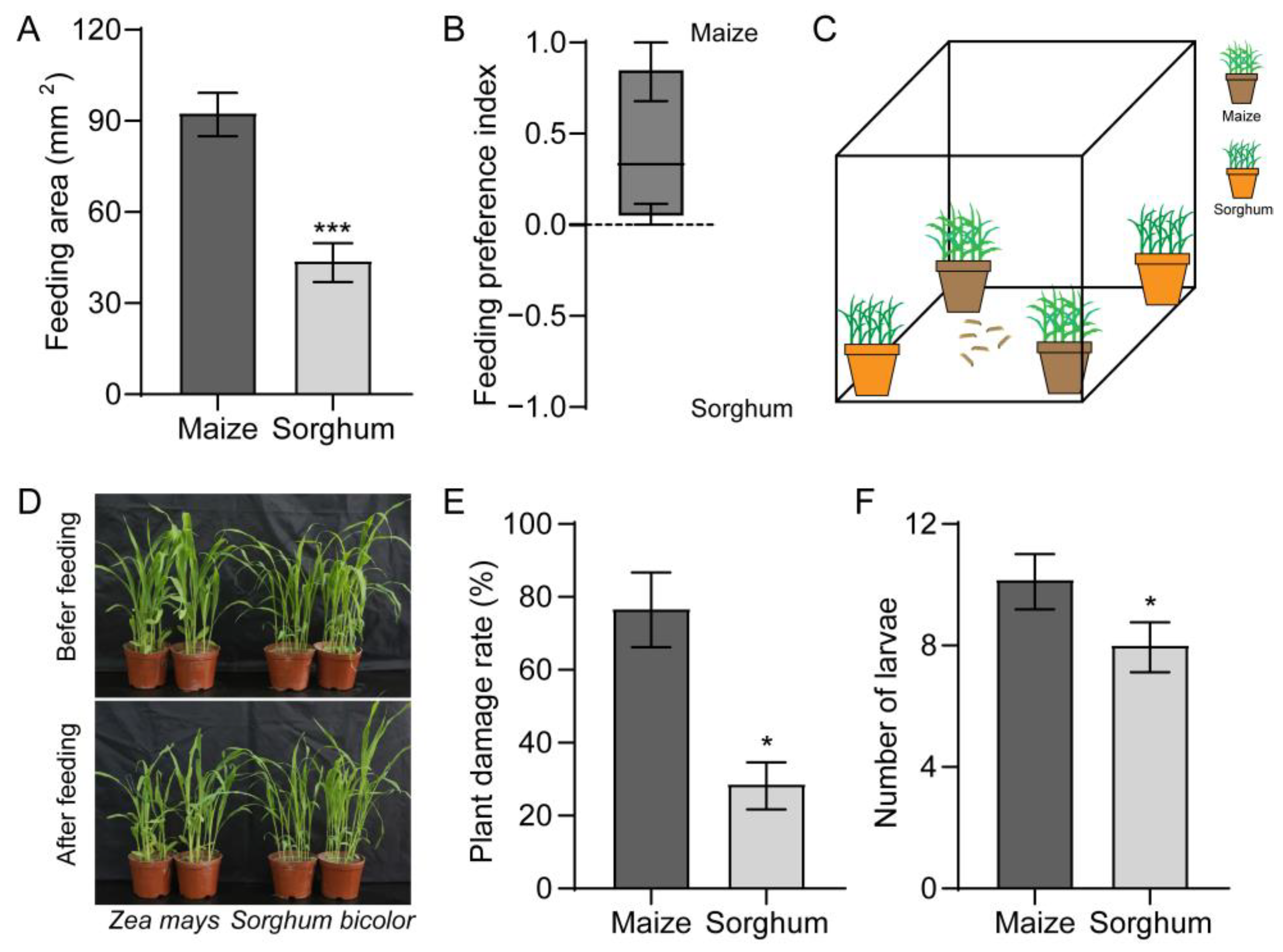 Insects 16 00218 g001